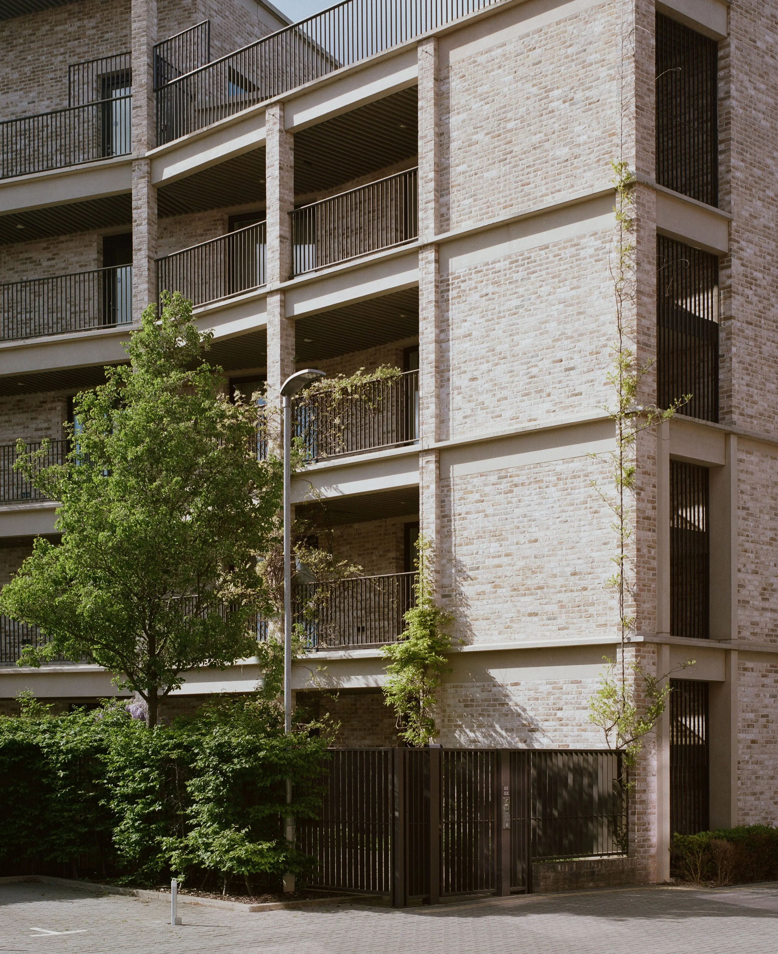 Ryle Yard, Cambridge for Maccreanor Lavington