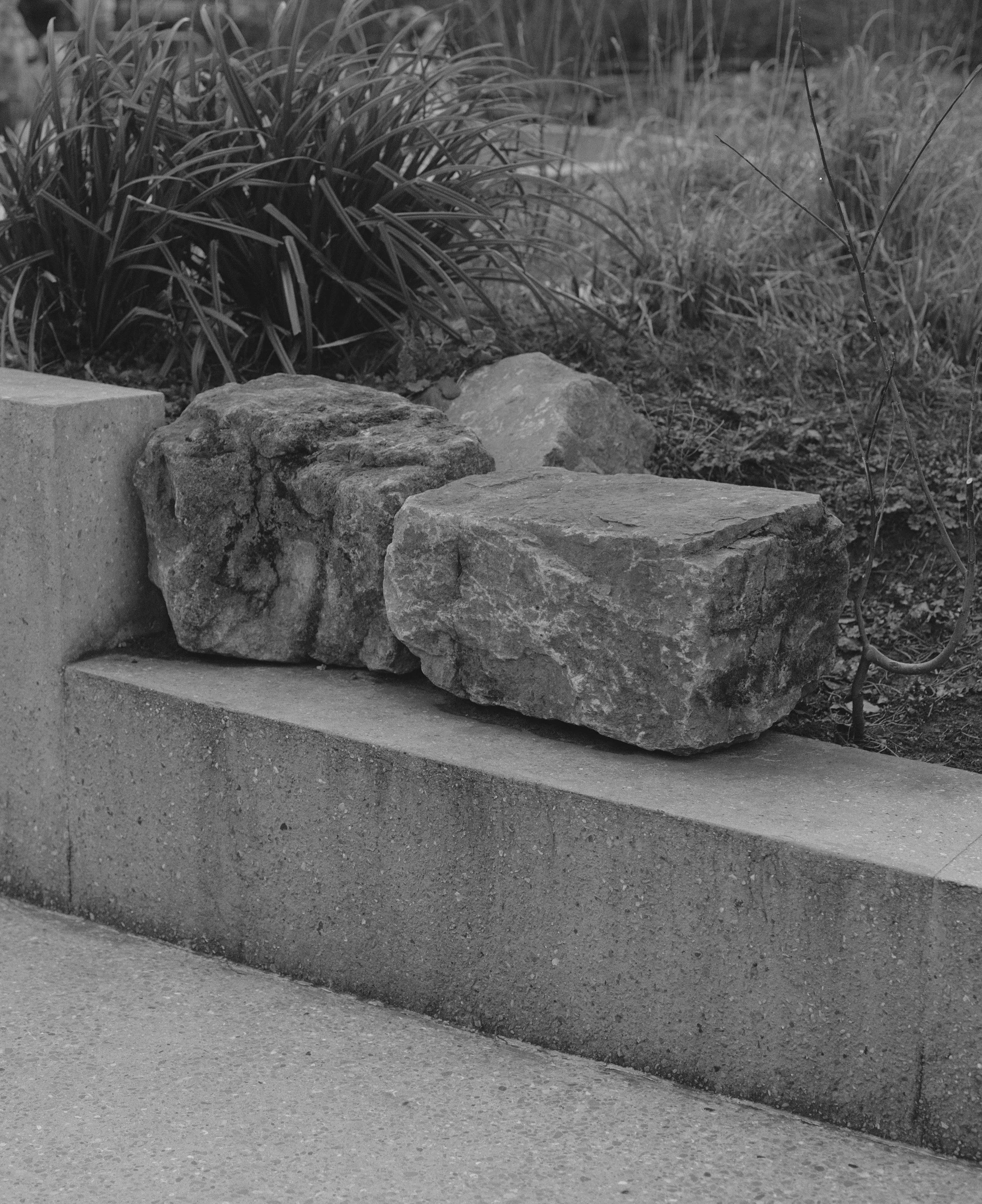 Fiona Smallshaw Enduring 11.jpg