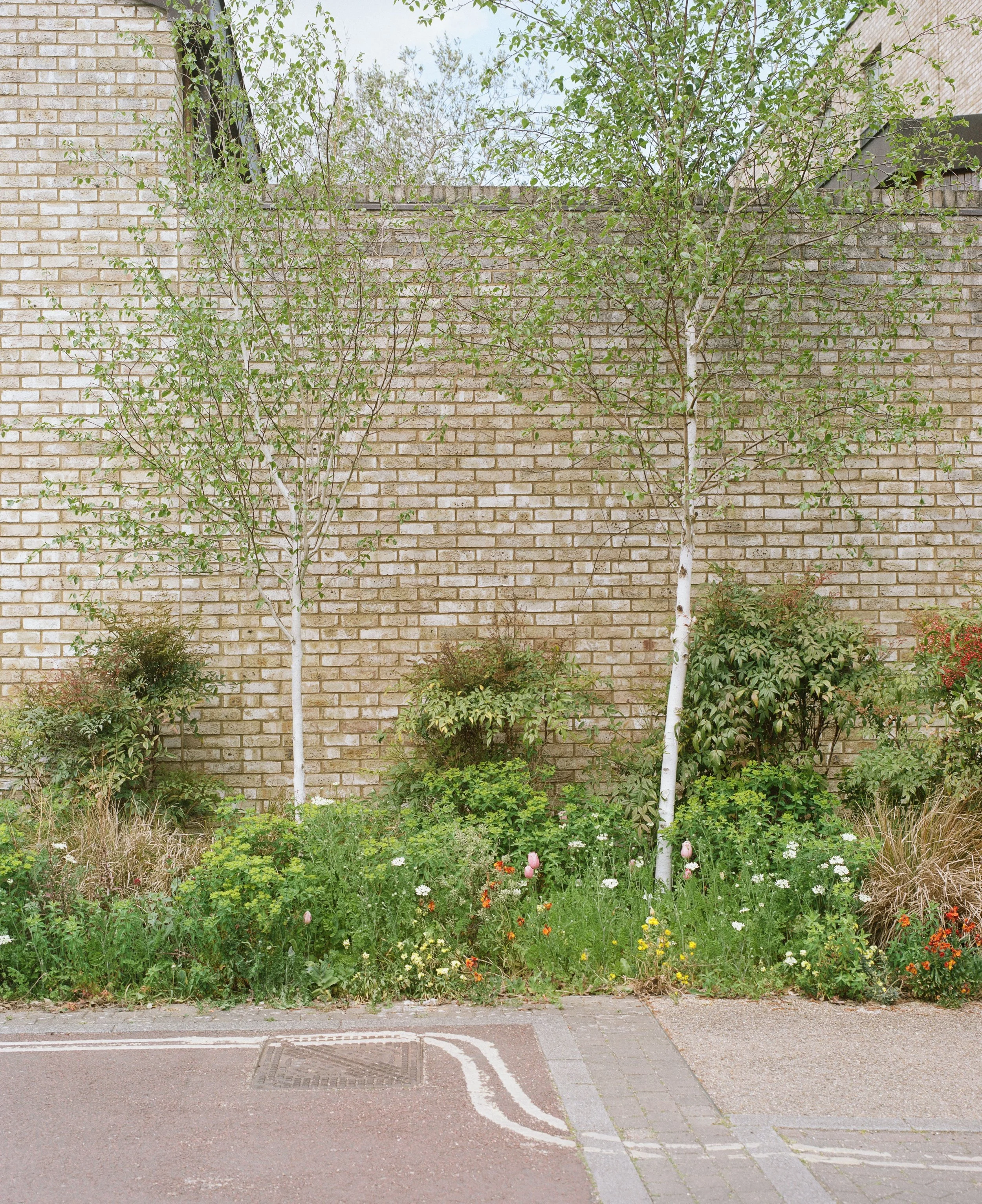 Accordia, Cambridge for Maccreanor Lavington