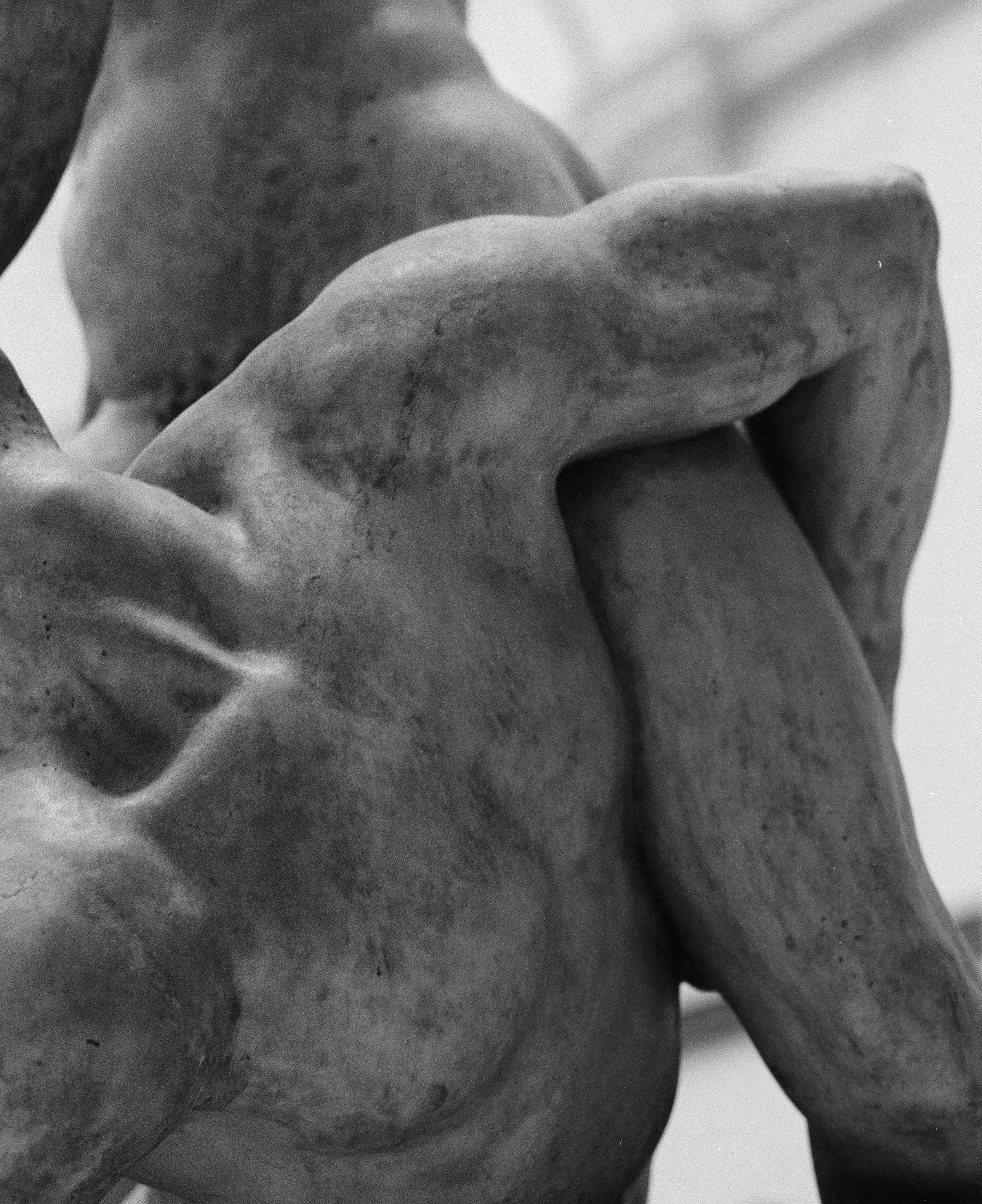 Fiona Smallshaw Enduring 5.jpg