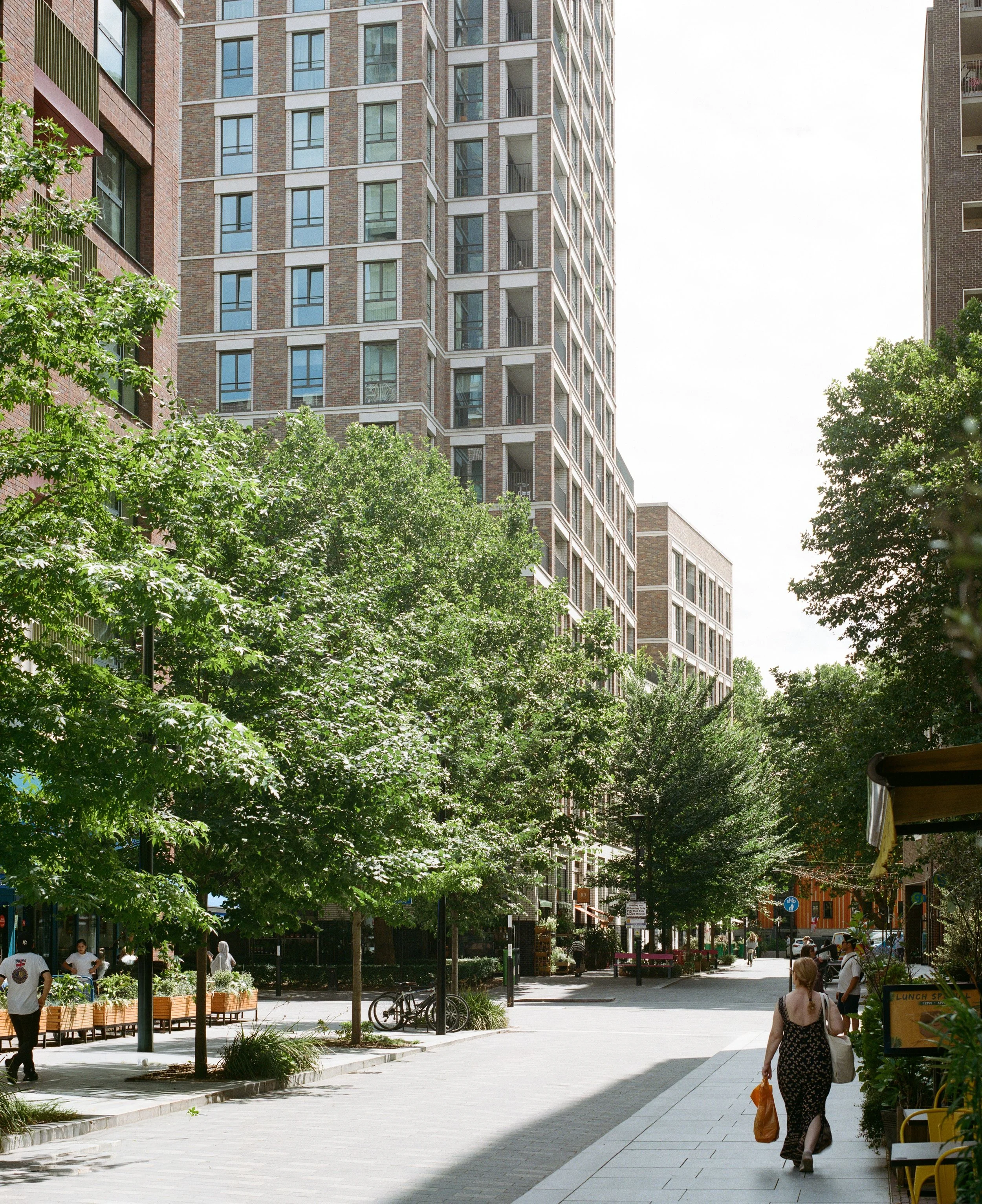 South Gardens for Maccreanor Lavington