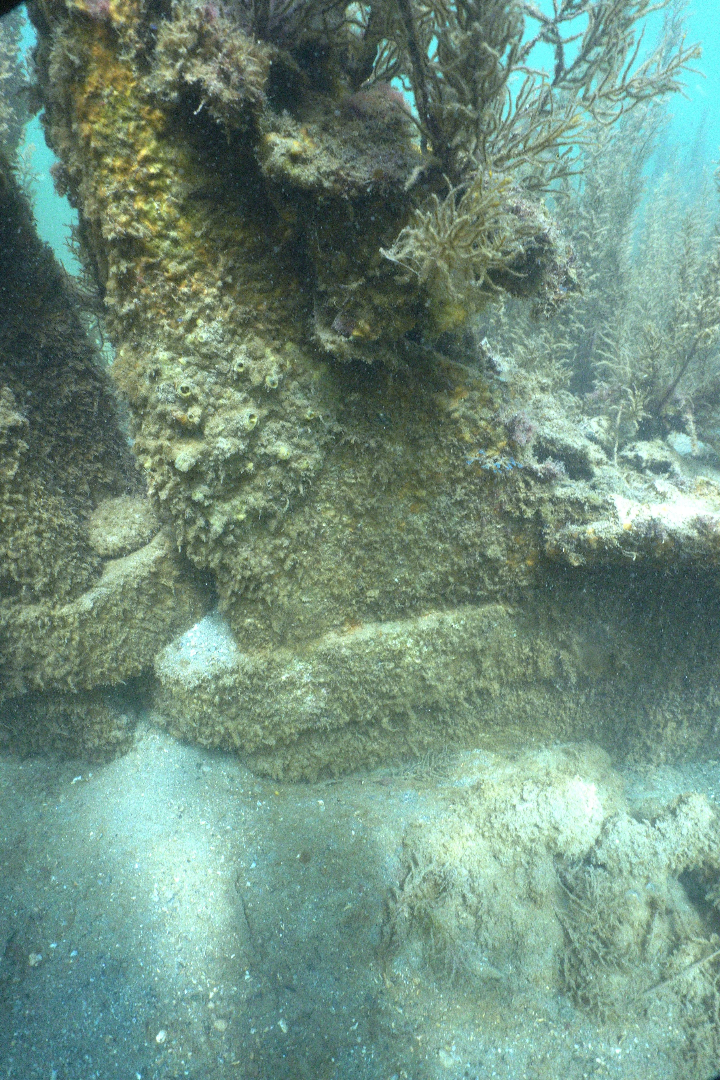 City Perth Rudder#.JPG