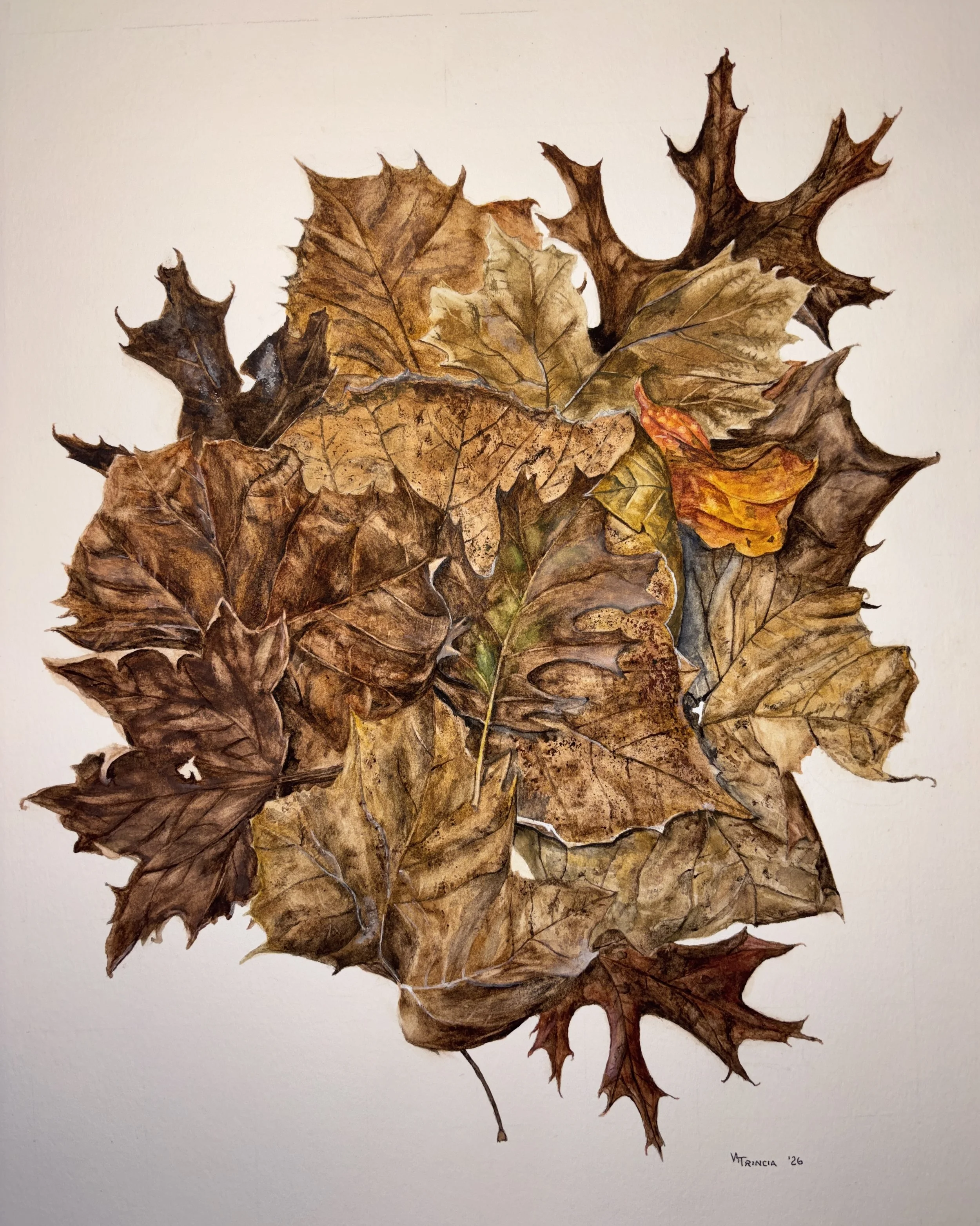 "Autumnal Detritus, IV", watercolor, 15" x 18", original and prints available