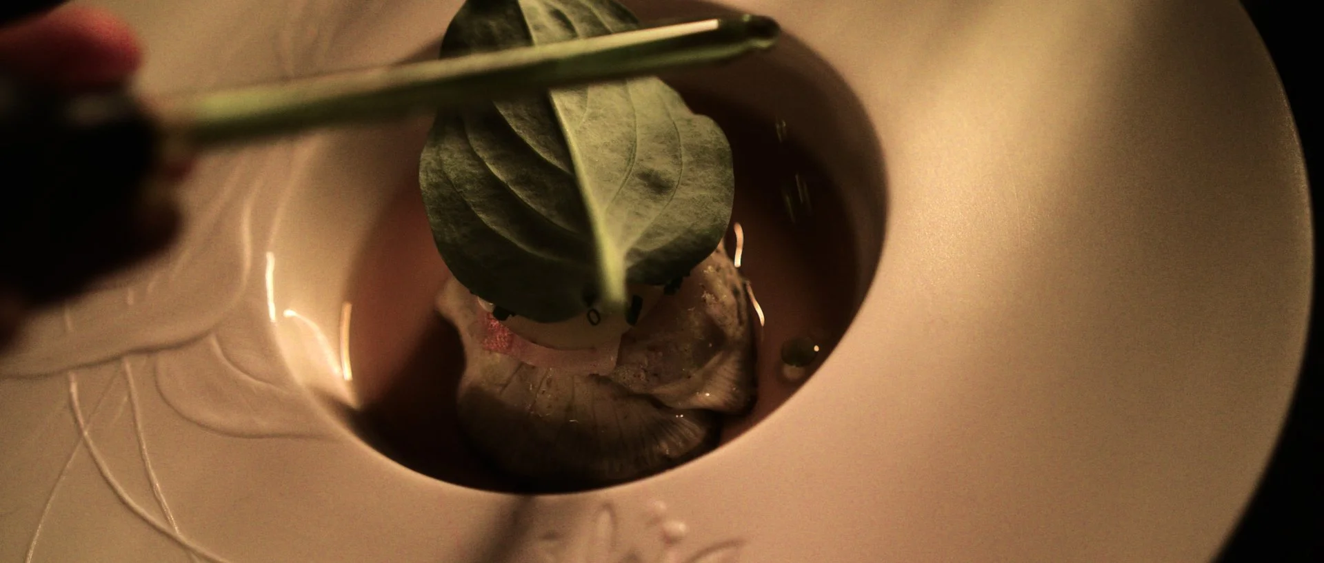 Top-down view of a potted plant with large green leaves from above, placed on a beige surface. The photo appears to be taken through a circular opening or mirror, creating a framed perspective.