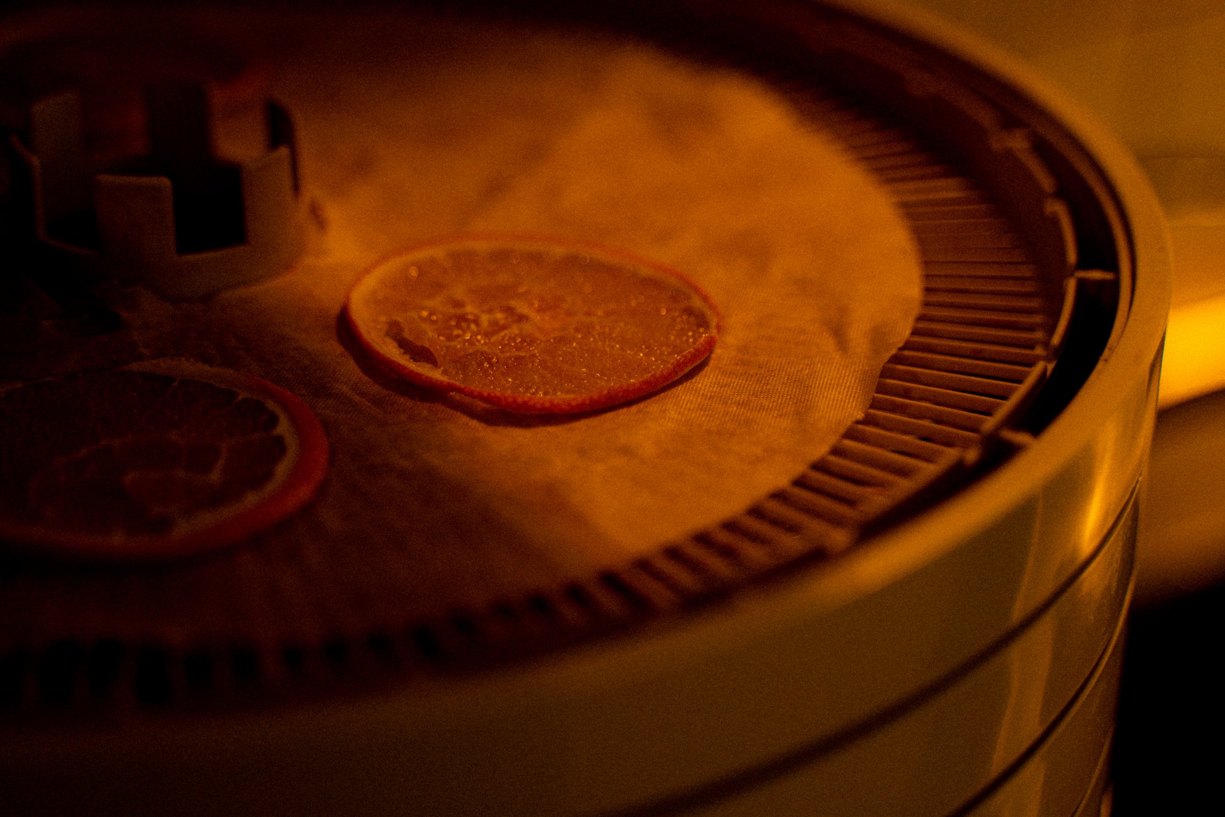 A toaster with a slice of bread and slices of citrus fruit inside, illuminated by warm light.