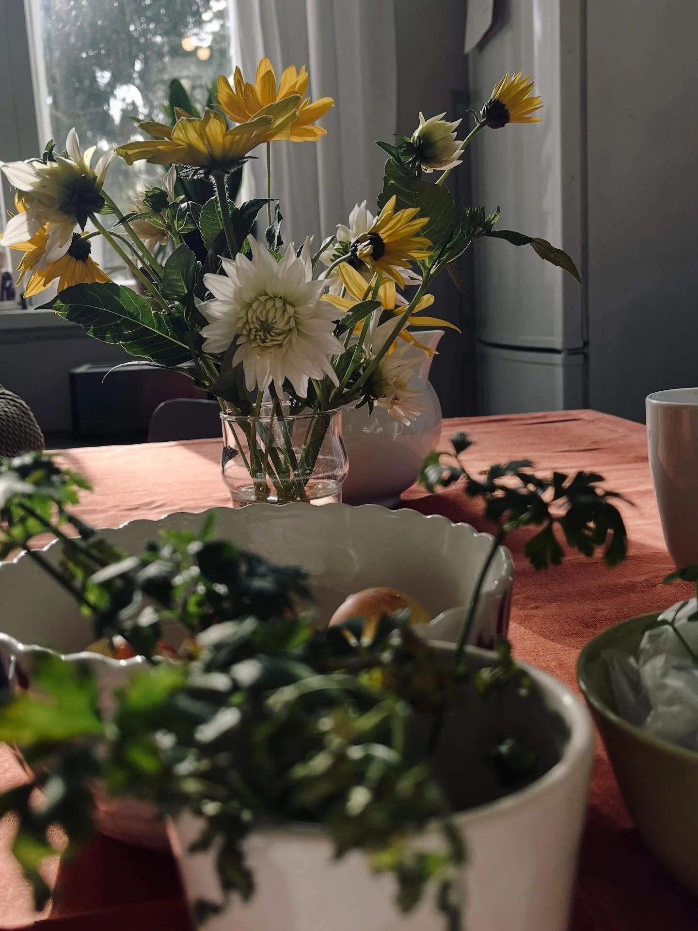 10-fika p&aring; Lind&ouml; ☕️