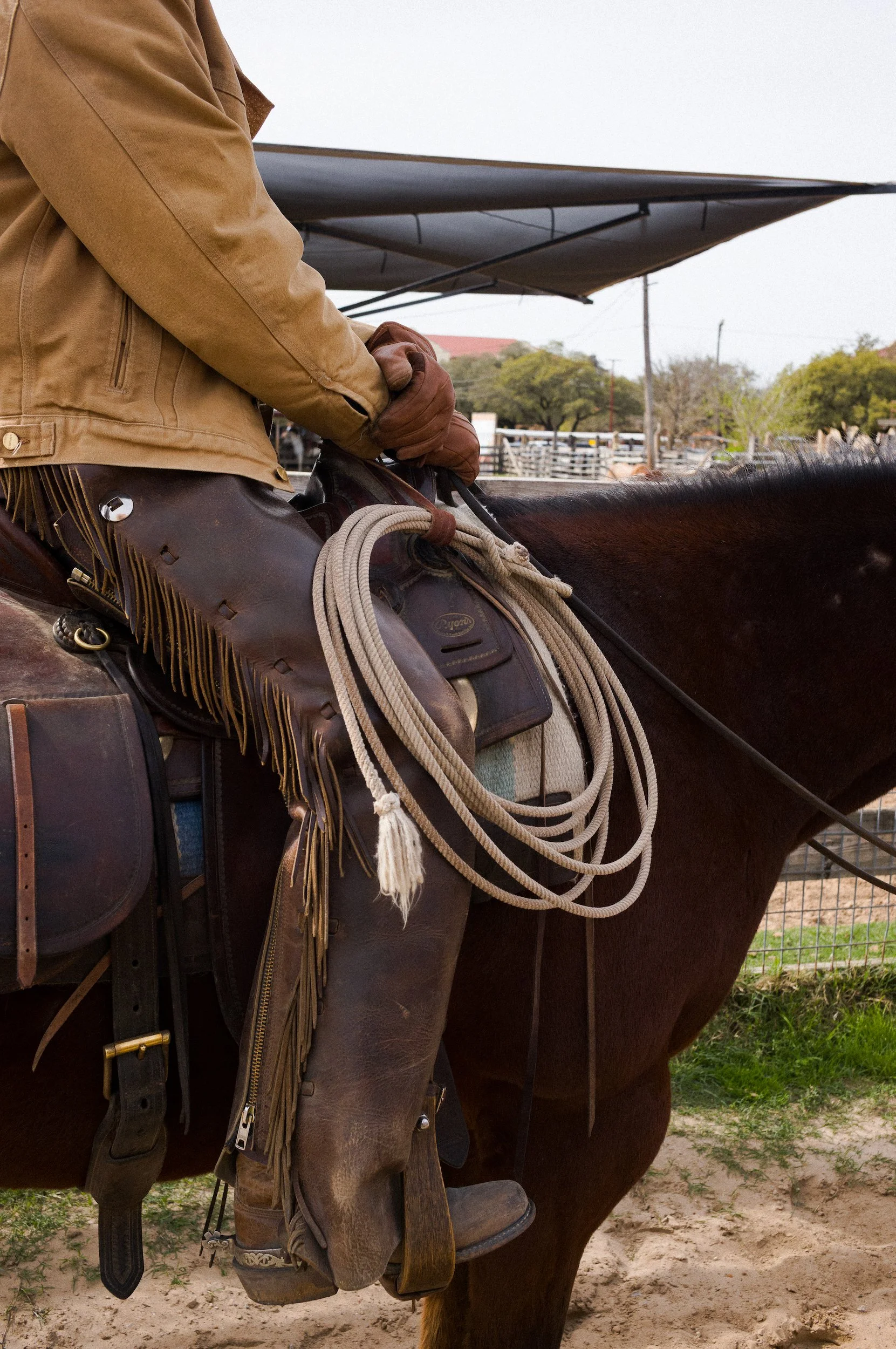 A person wearing a tan jacket and brown gloves sitting on a horse with a western saddle, bridle, and rope, in an outdoor corral with trees and a cloudy sky in the background.