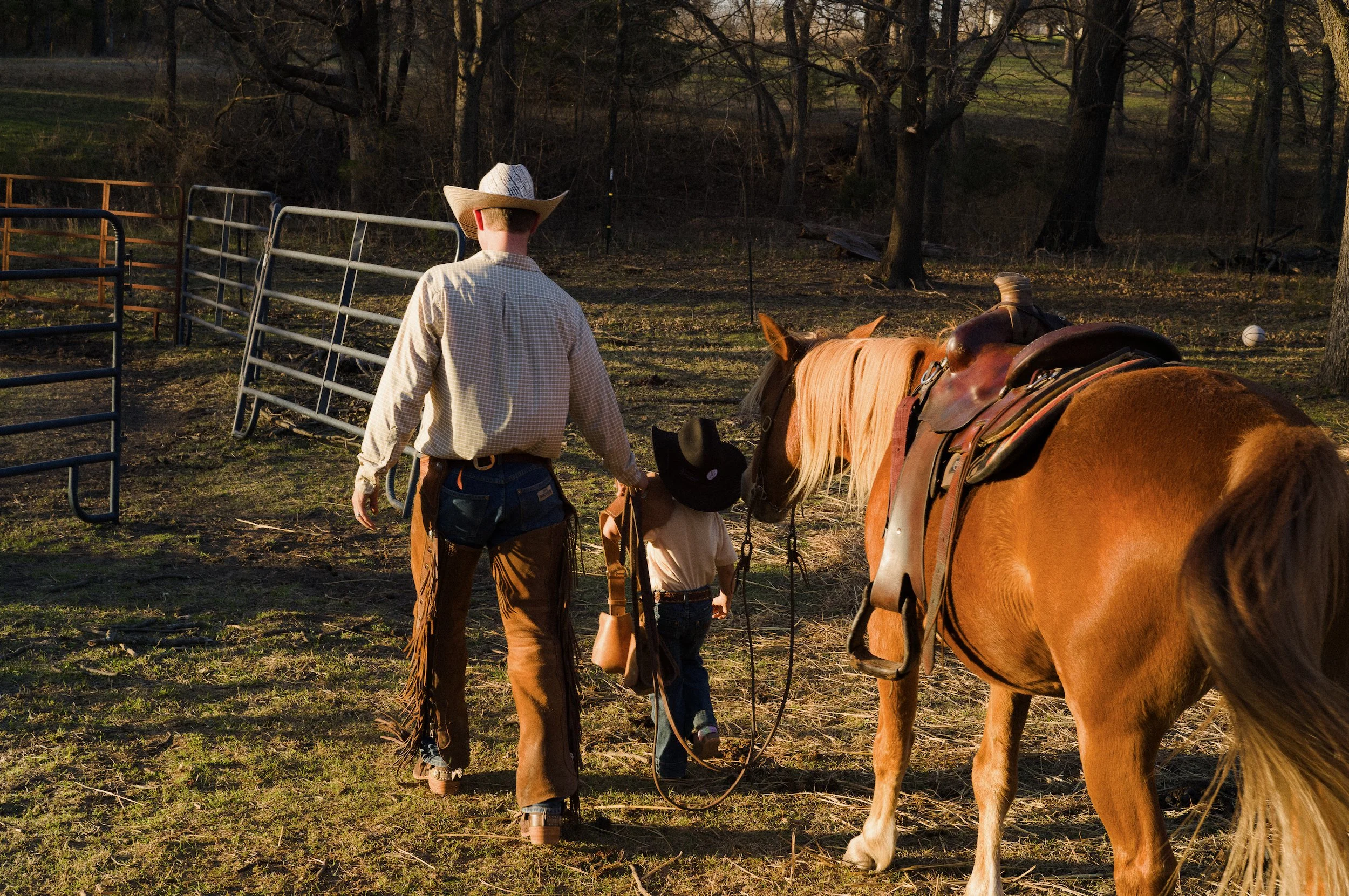 Cowboy wearing a cowboy hat and a plaid shirt leads a girl on a horse inside a fenced area. The scene is set outdoors with trees and a field in the background, illuminated by warm sunlight.