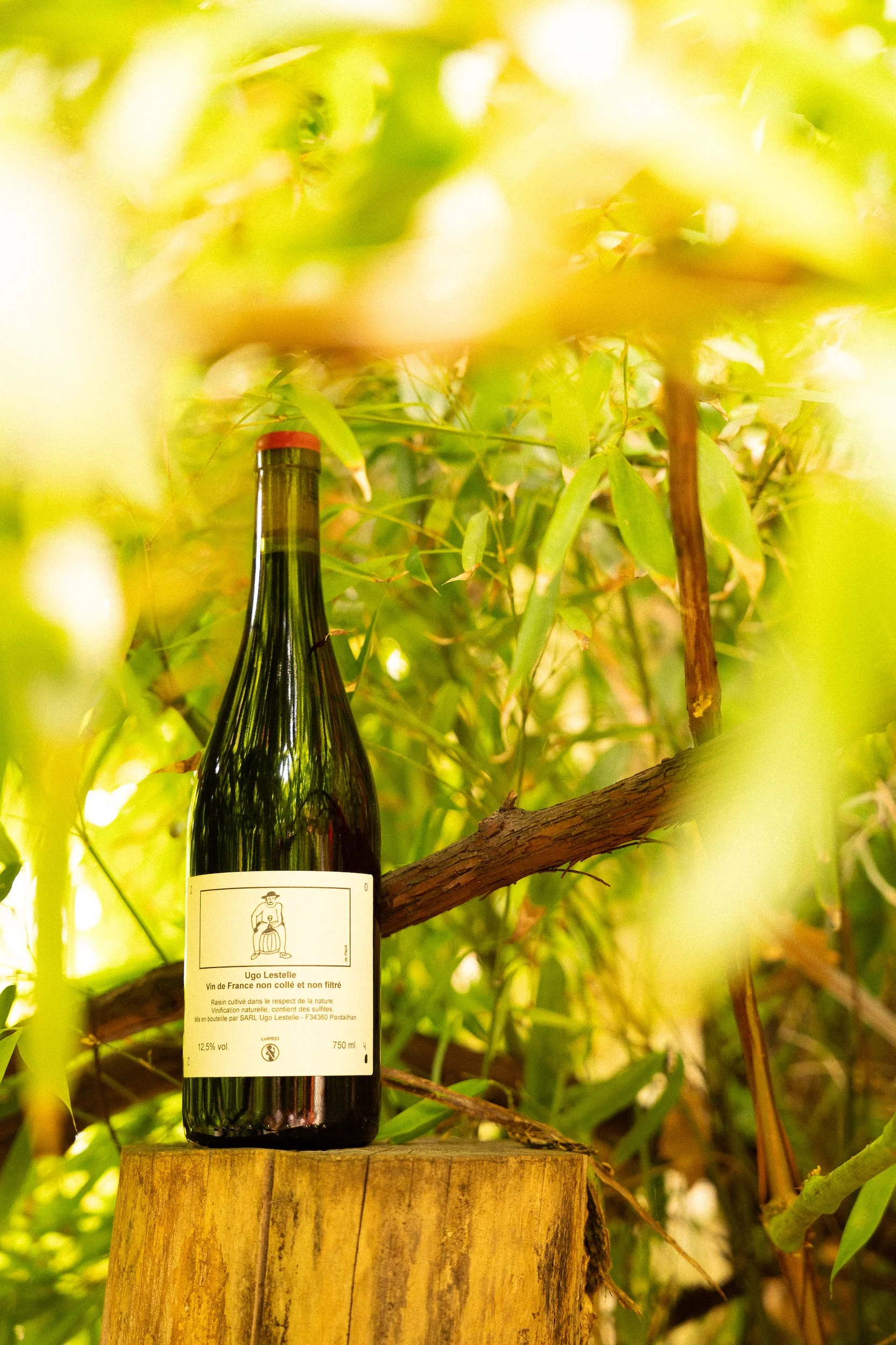 A bottle of wine on a wooden surface surrounded by green leaves and branches.