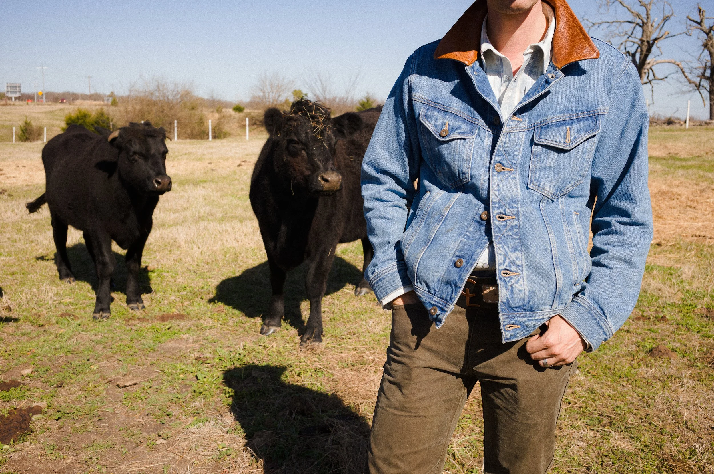 Cowboy standing in a pasture with black calves, wearing a denim jacket with brown leather collar, white shirt, and khaki pants, with a tree and power lines in the background.