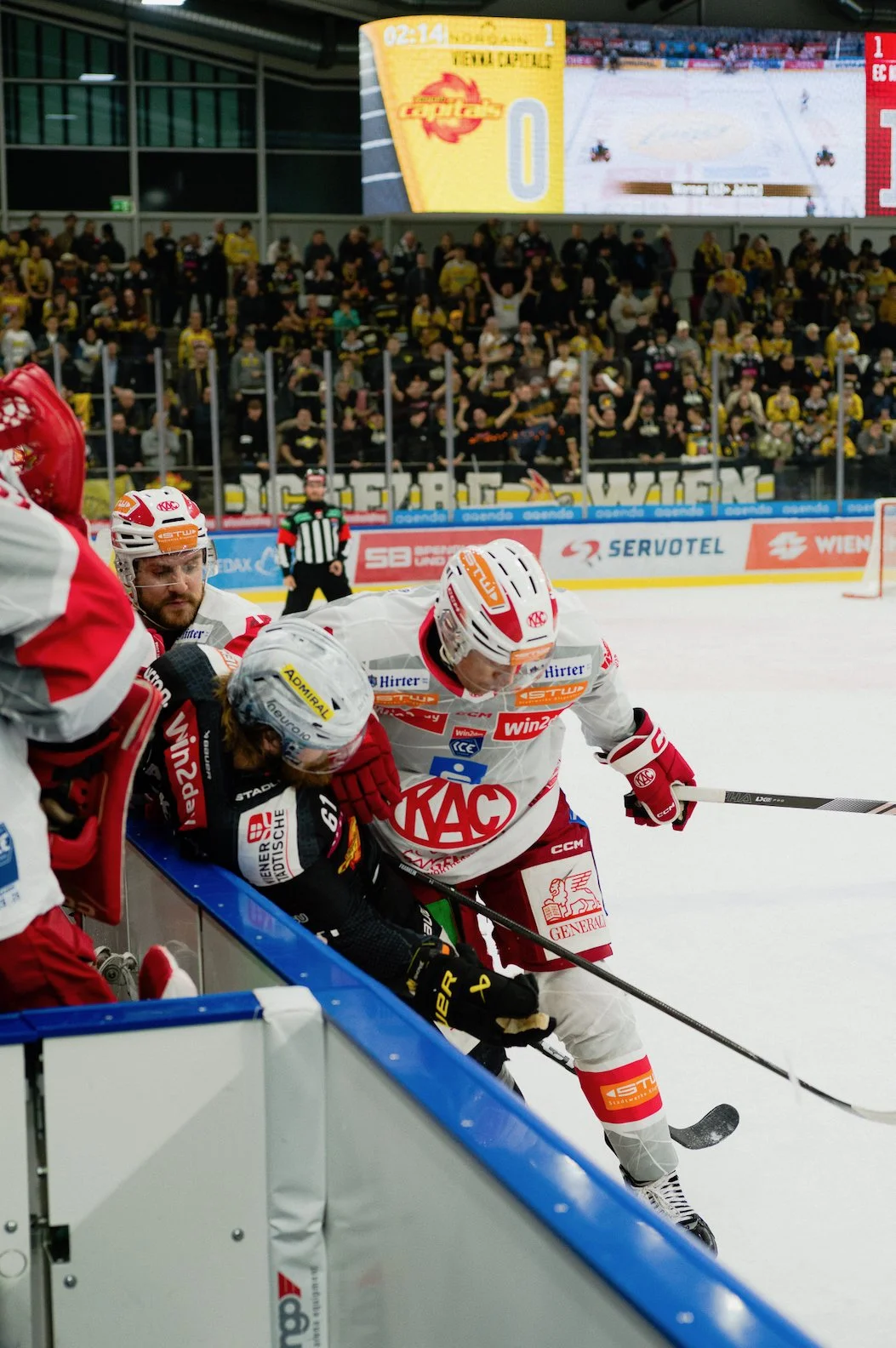 Maxime Evangelista-Capitals v KAC-40.jpeg