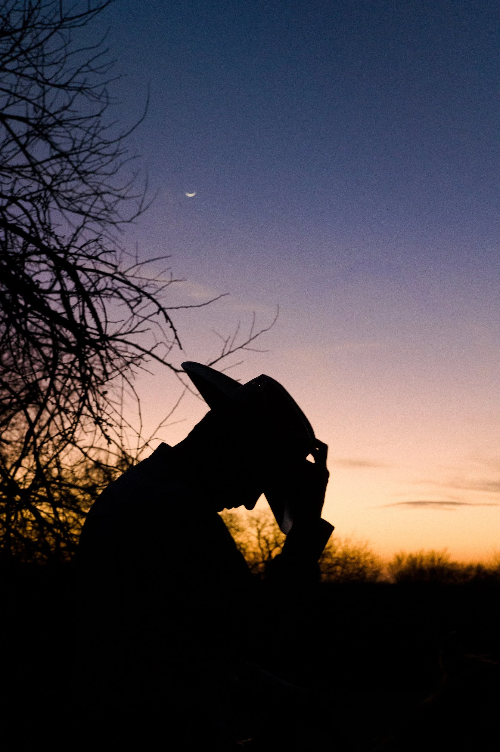 Silhouette of a person holding their hat, standing near leafless trees, with a sunset sky and a crescent moon in the background.