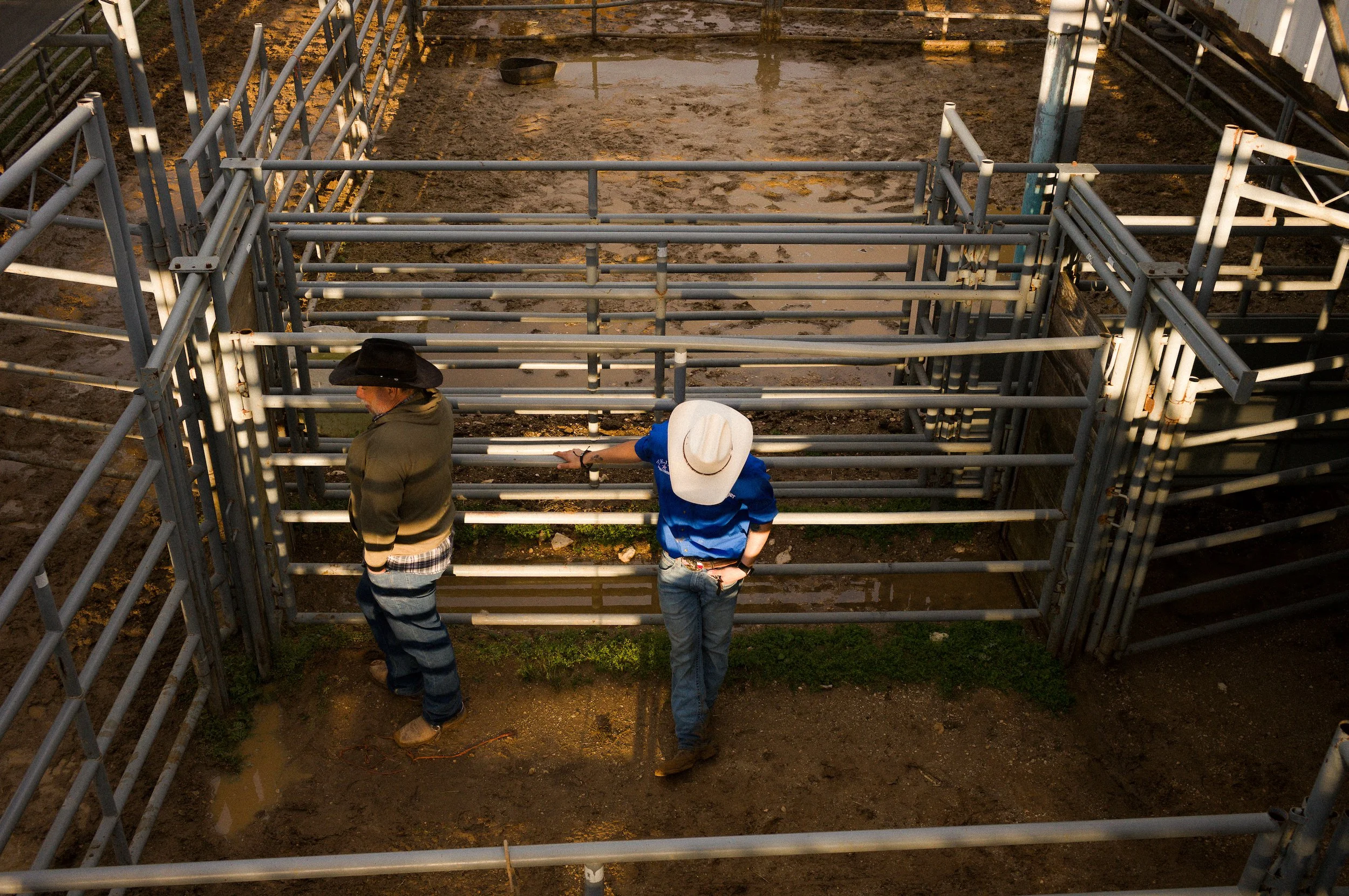 Bulverde Texas - looking over the cowboys behind the chute