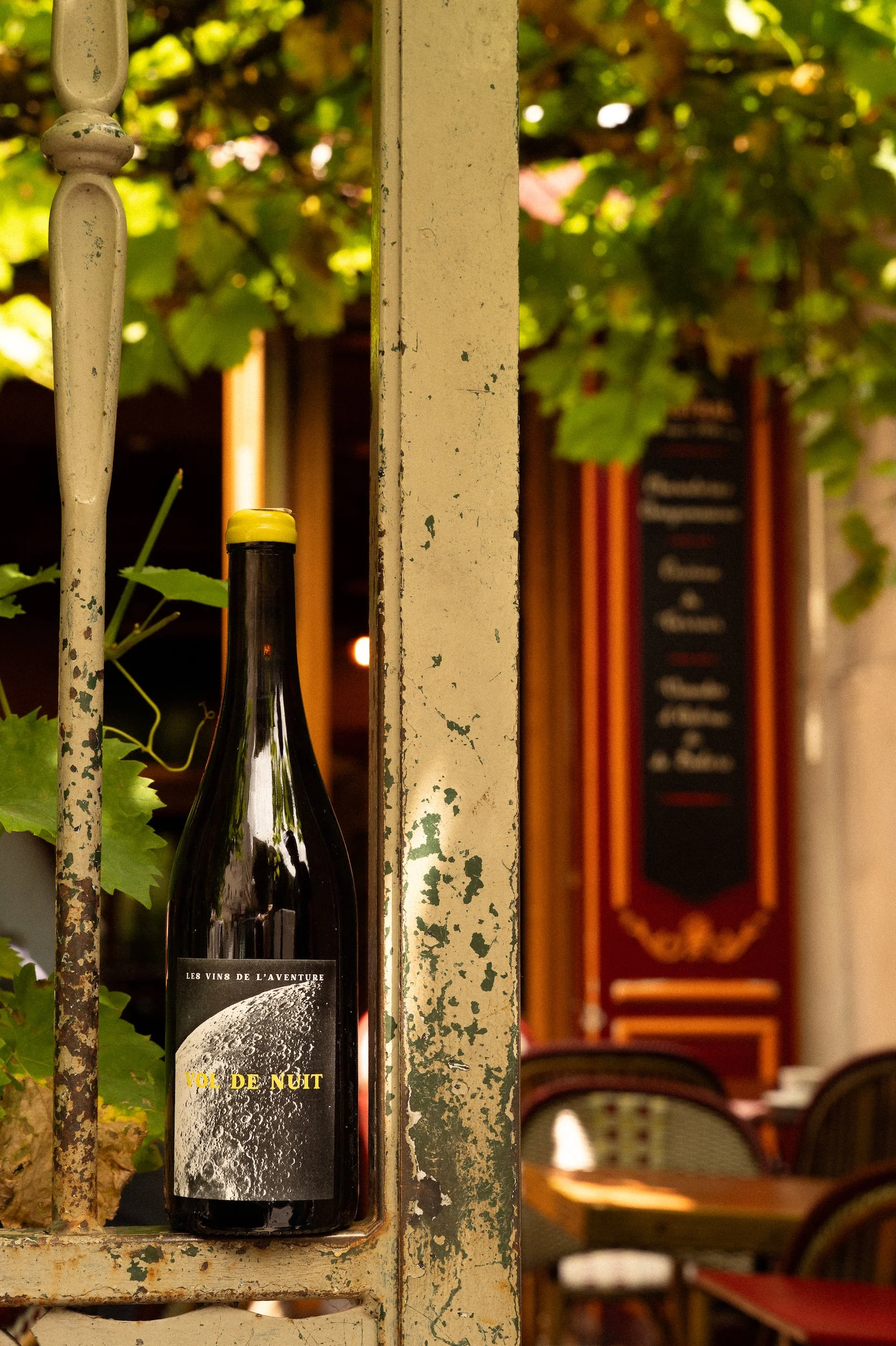 In Paris, A wine bottle displayed behind a rusty metal frame, with green leafy vines in the background and a blurred interior setting with chairs and tables.