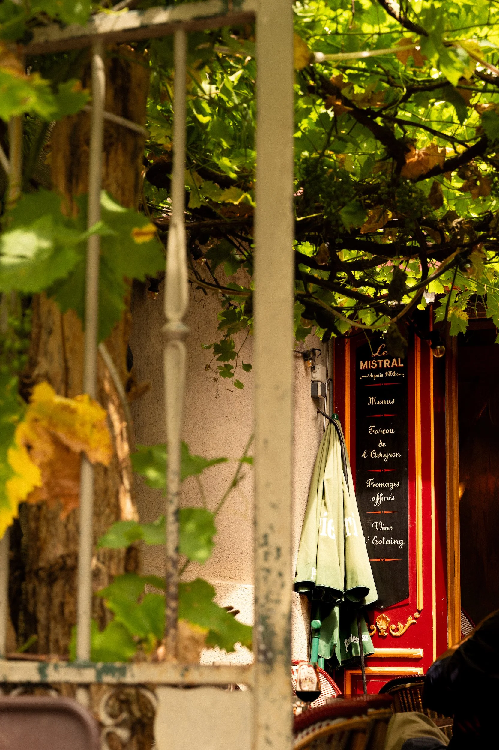 Outdoor café seating area with a blackboard menu, green umbrella, and a red decorative wall, viewed through a metal fence with green vines and leaves.