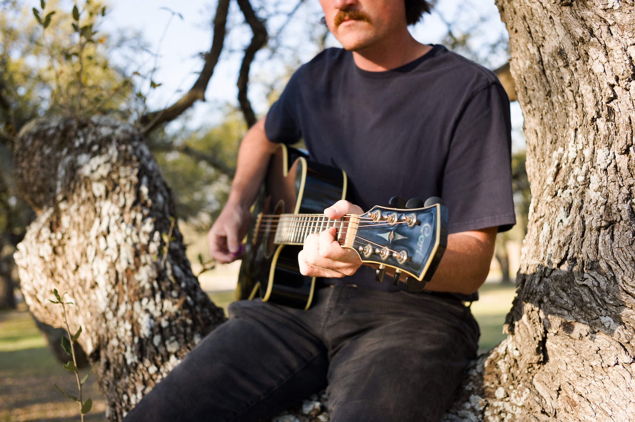 A man with a mustache, wearing a black t-shirt, sitting on a tree branch, playing an acoustic guitar outdoors, with trees and sunlight in the background.