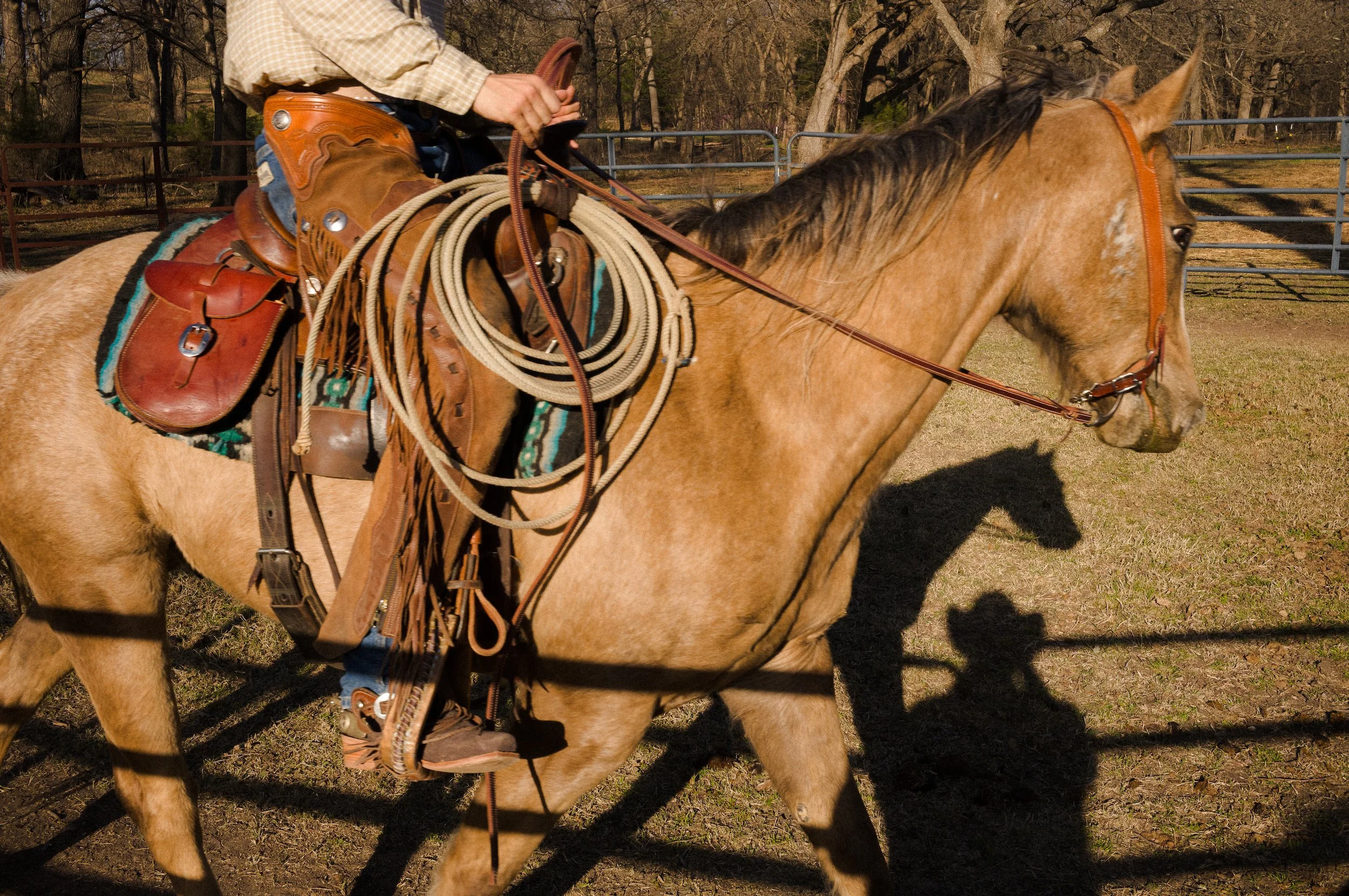 A person riding a light brown horse in an outdoor enclosed area, wearing a Western saddle and holding the reins.
