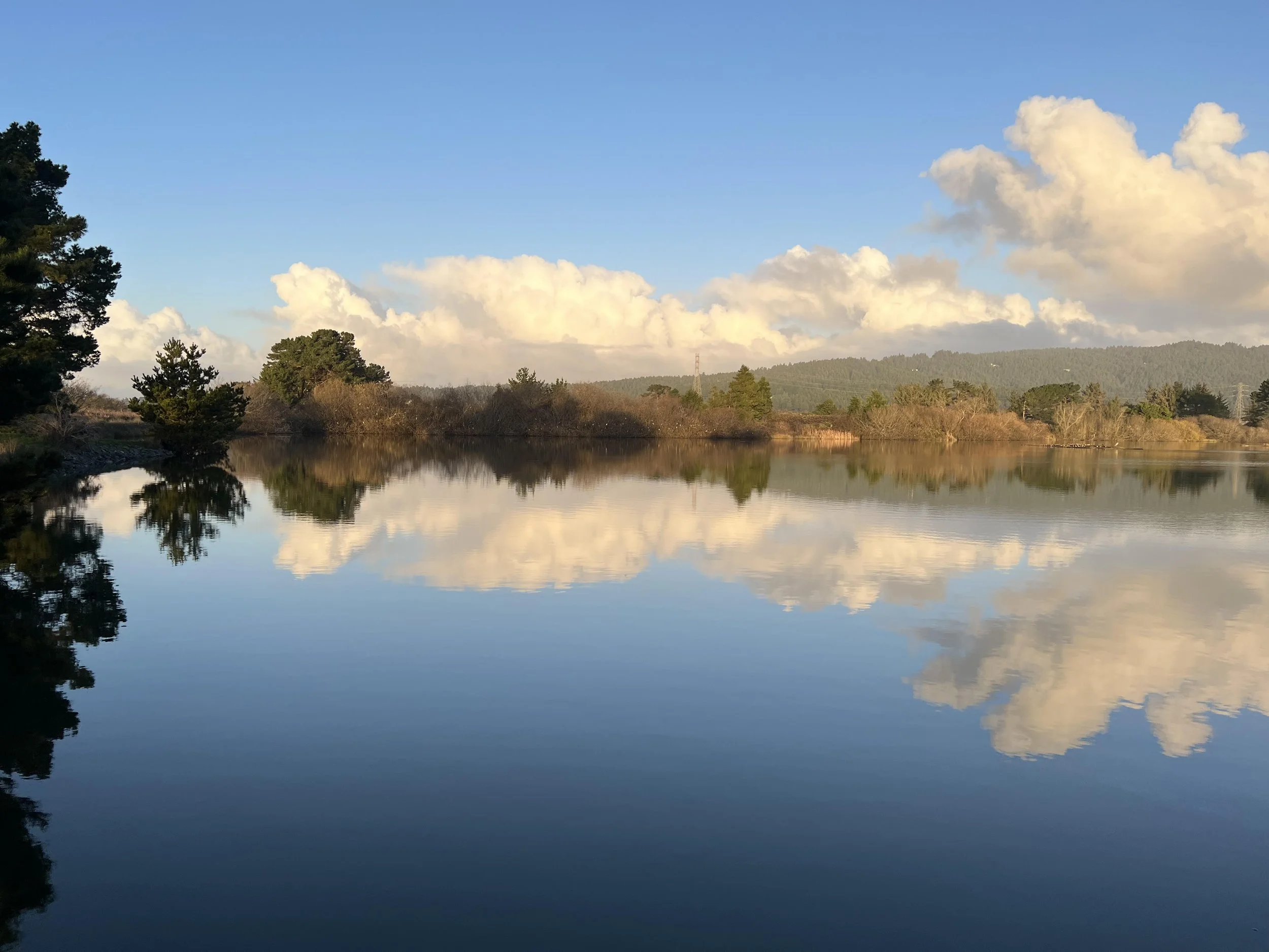 Hike at the Arcata Marsh