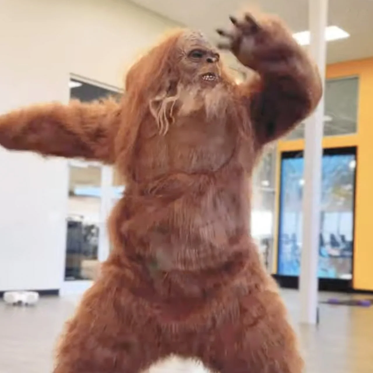 Squatchington_WorkSample_FunnyVideo_002.jpg