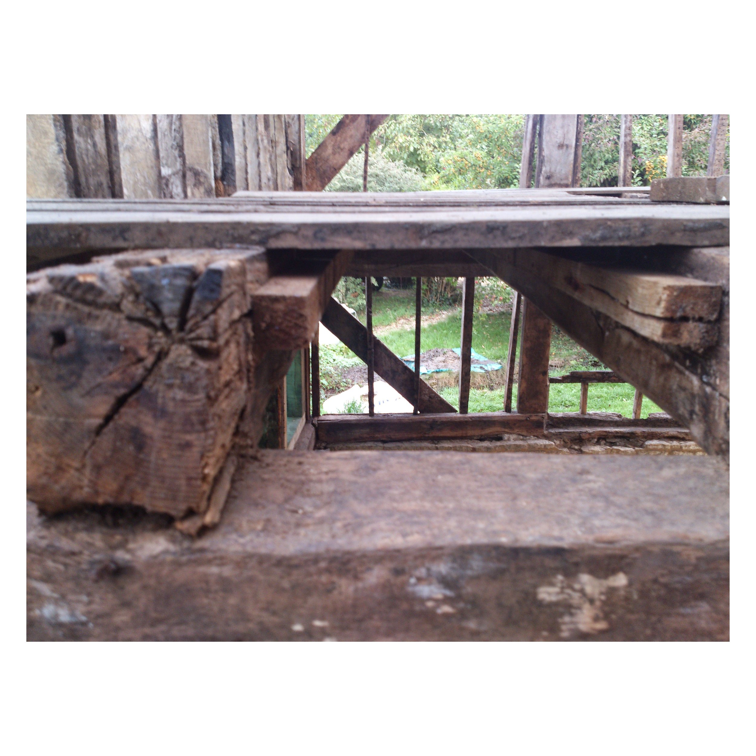 DSC_0102 with square frame.jpg