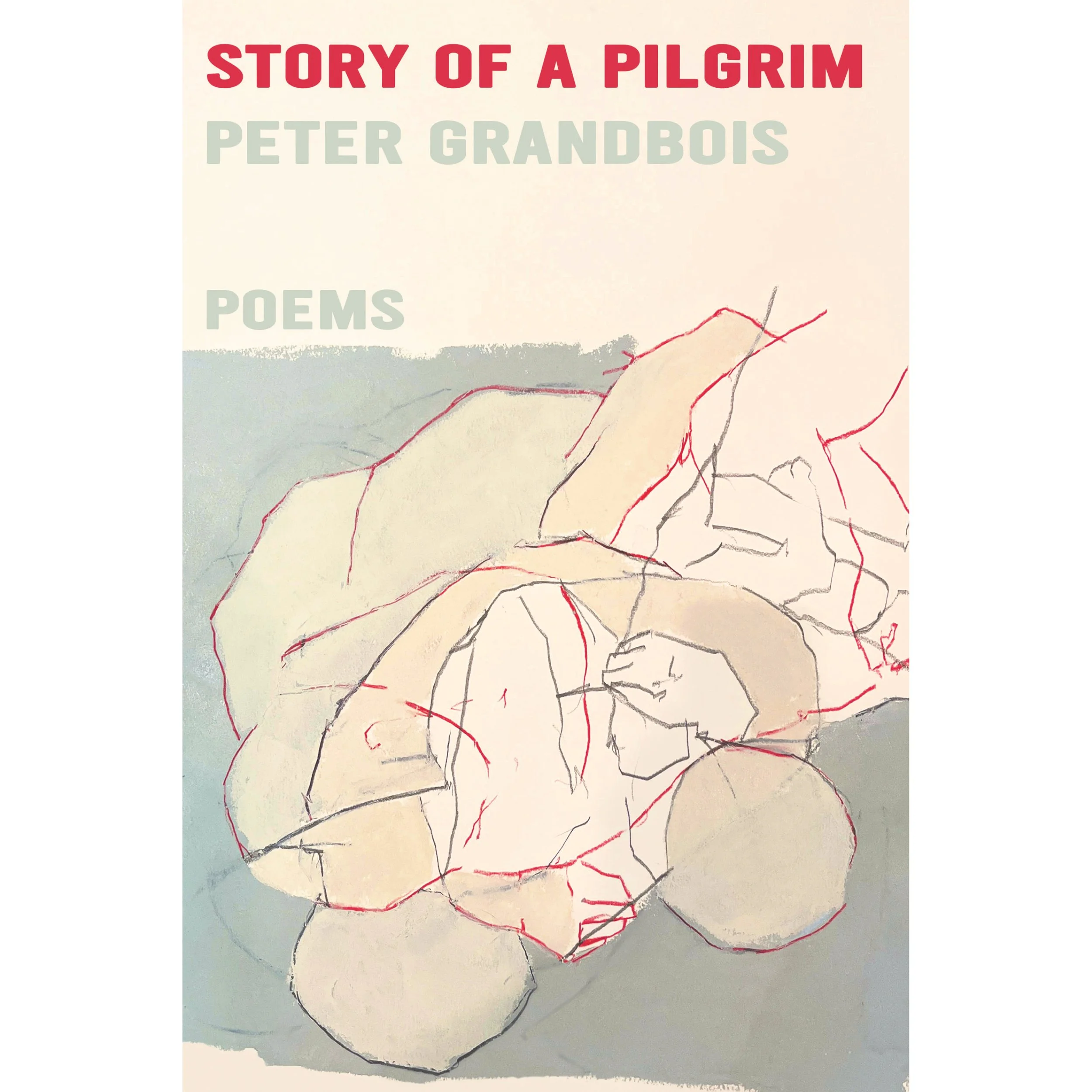 Story of a Pilgrim - Peter Grandbois