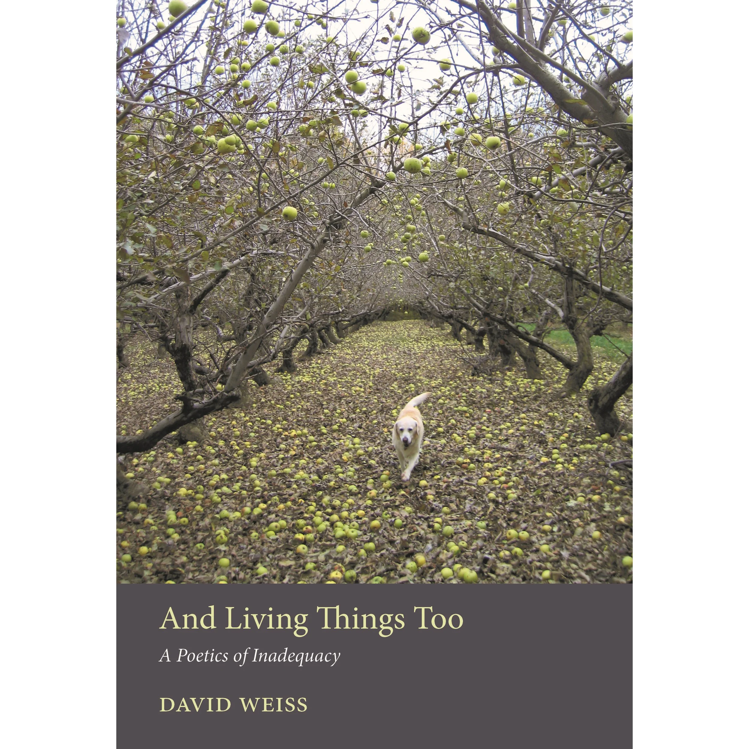 living cover 2 square.jpg