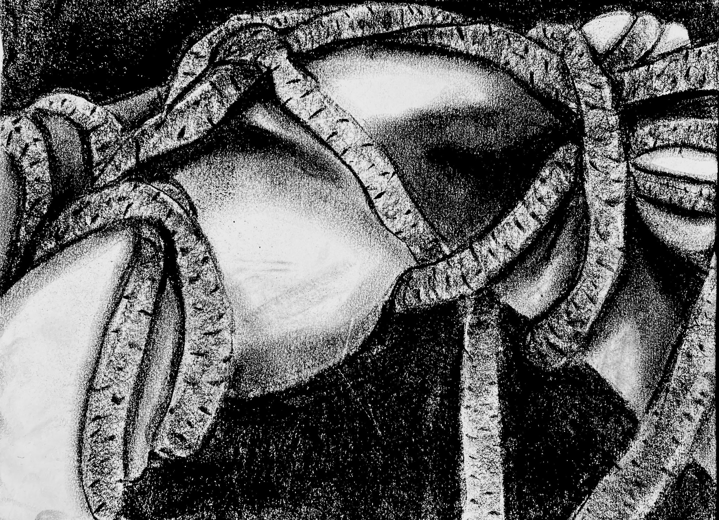 charcoal on paper 12x24