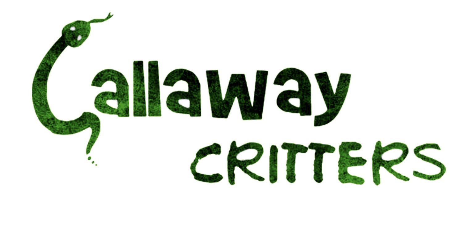 CallawayCritters
