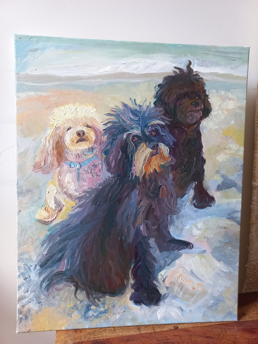 3 dogs sm image.png