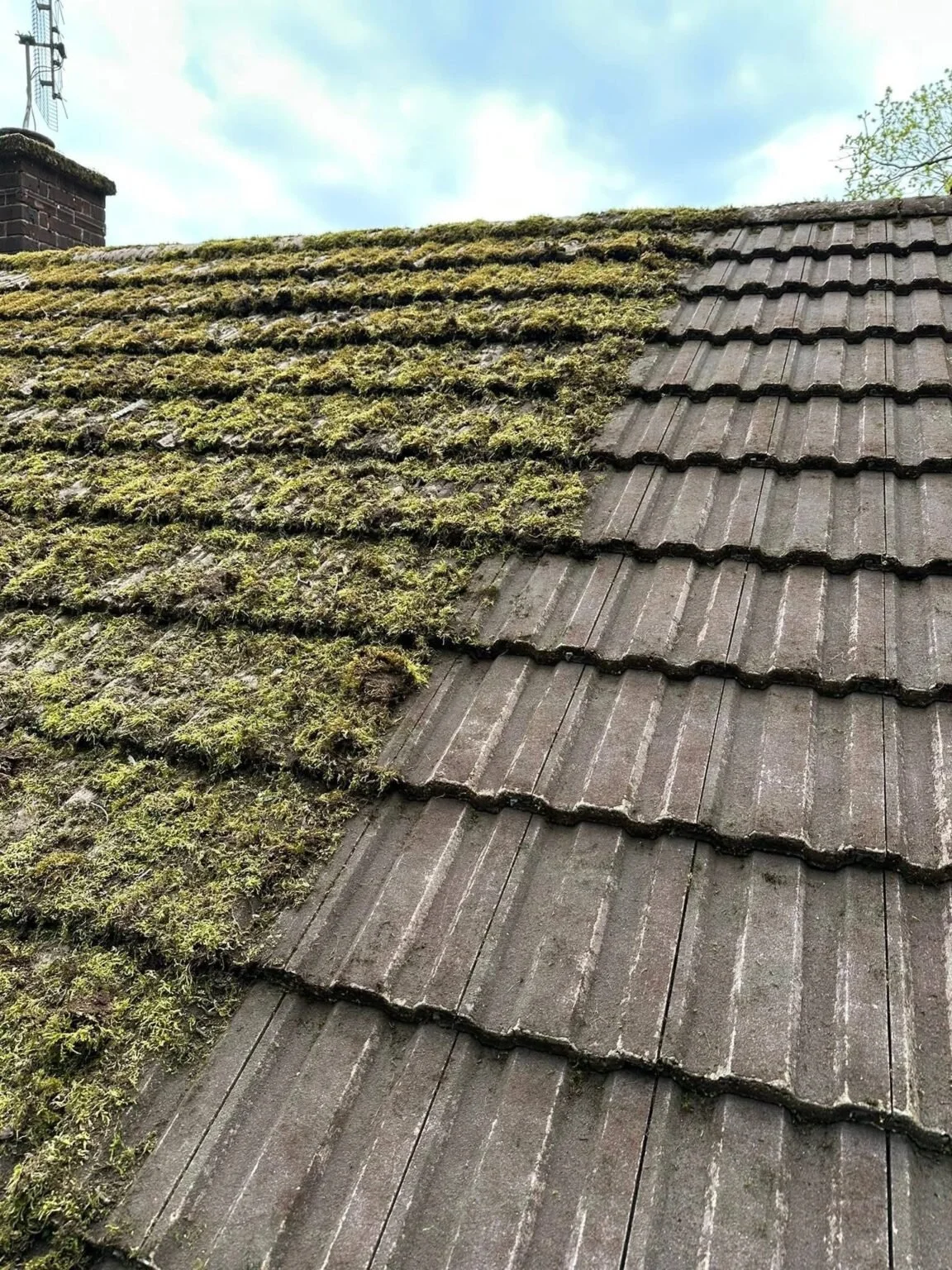 Clean Roof.jpg