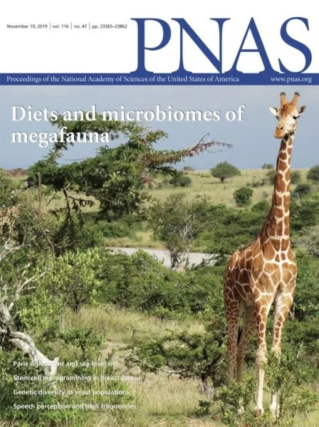 PNAS journal cover of a giraffe standing in a savanna