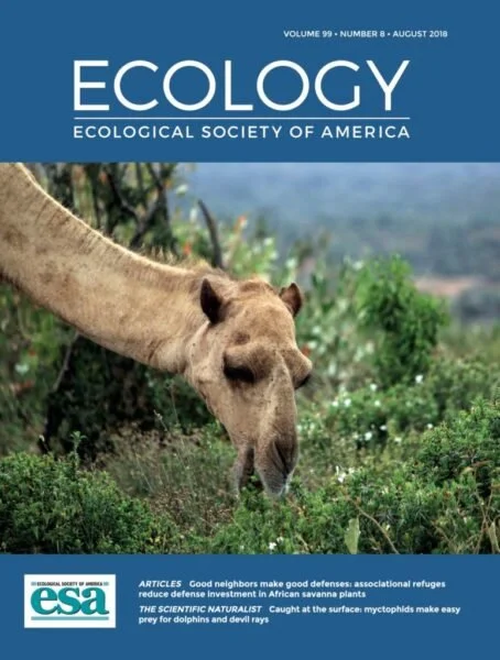Ecology journal cover of a camel lowing its head to forage at vegetation