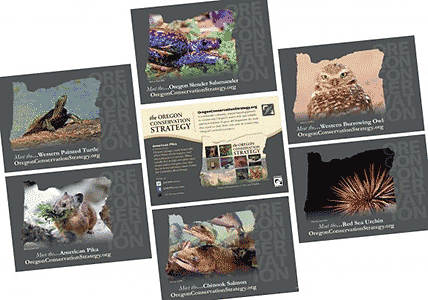 Oregon Conservation Strategy Postcard size fliers