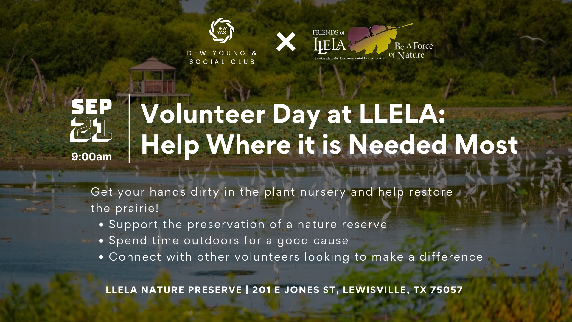 Volunteering at LLELA: Tree Clearing & Conservation Effort