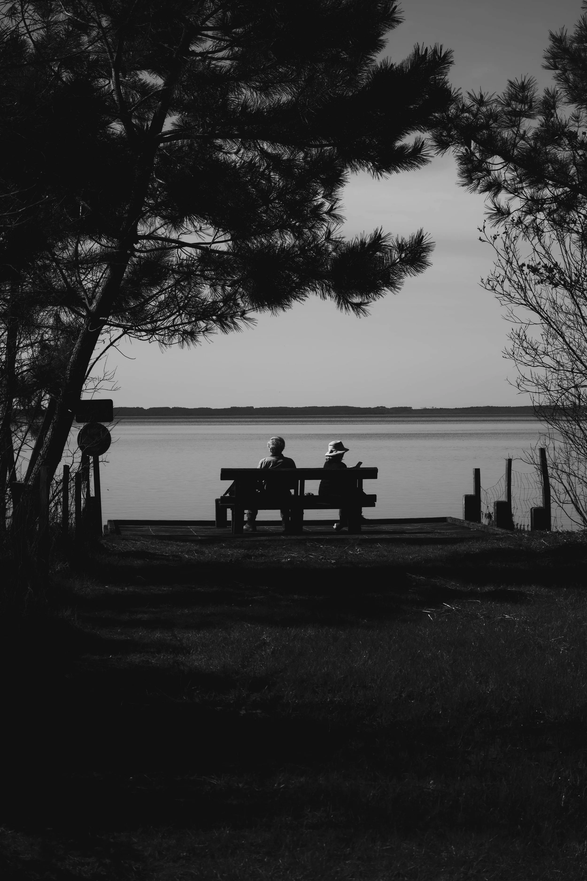 The Courage of Quiet: Finding Strength in Silence and Boundaries