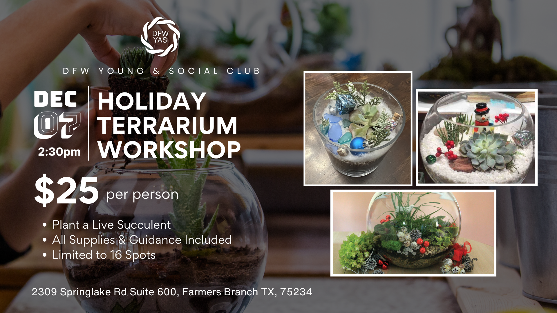 Holiday Terrarium Workshop & Social