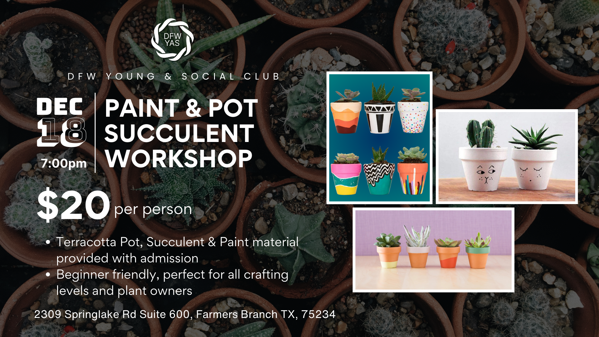 Paint & Pot Succulent Workshop