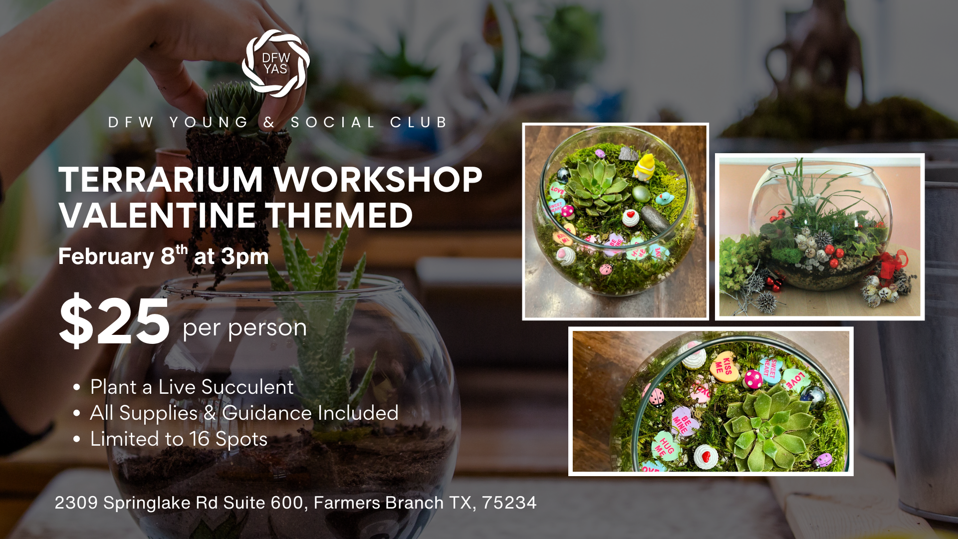 Terrarium Workshop (Valentine Themed)