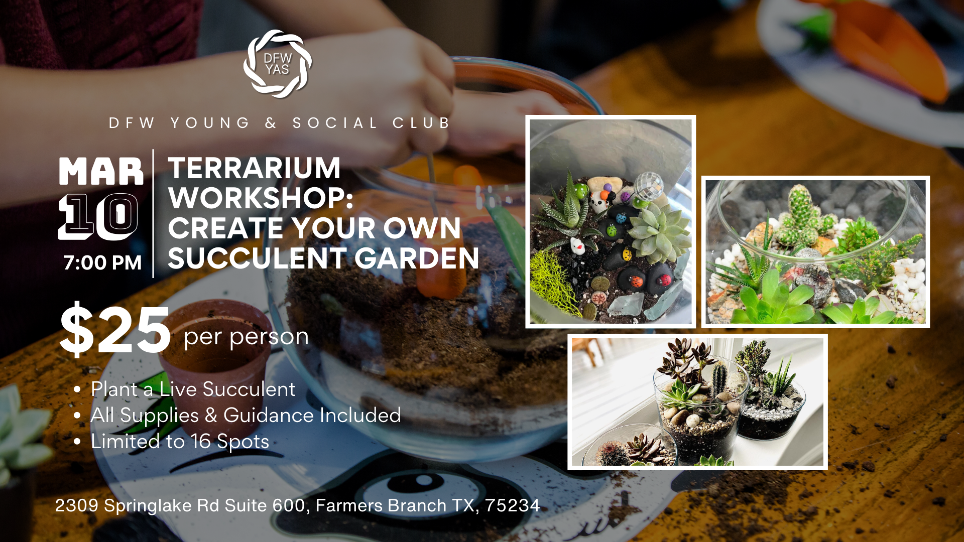 Terrarium Workshop: Create Your Own Mini Succulent Garden