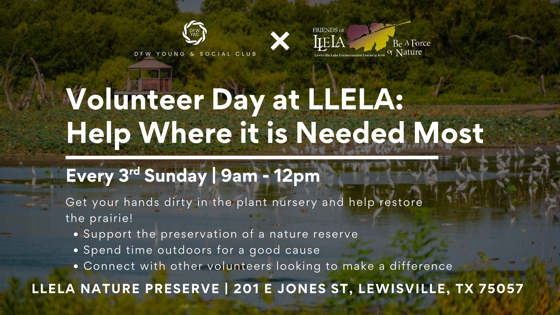 Volunteering at LLELA: Help Where It’s Needed Most