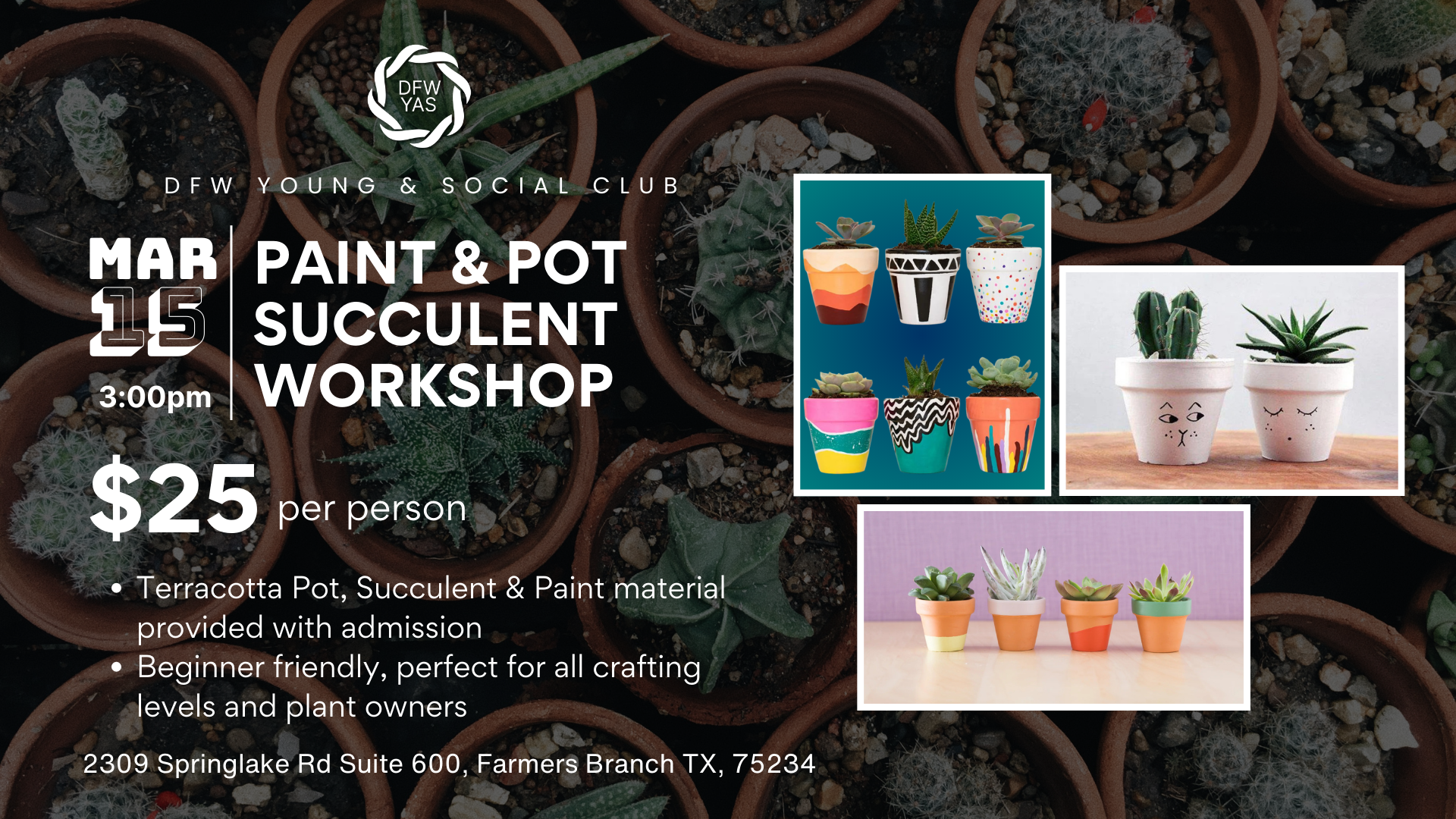Paint &amp; Pot Succulent Workshop
