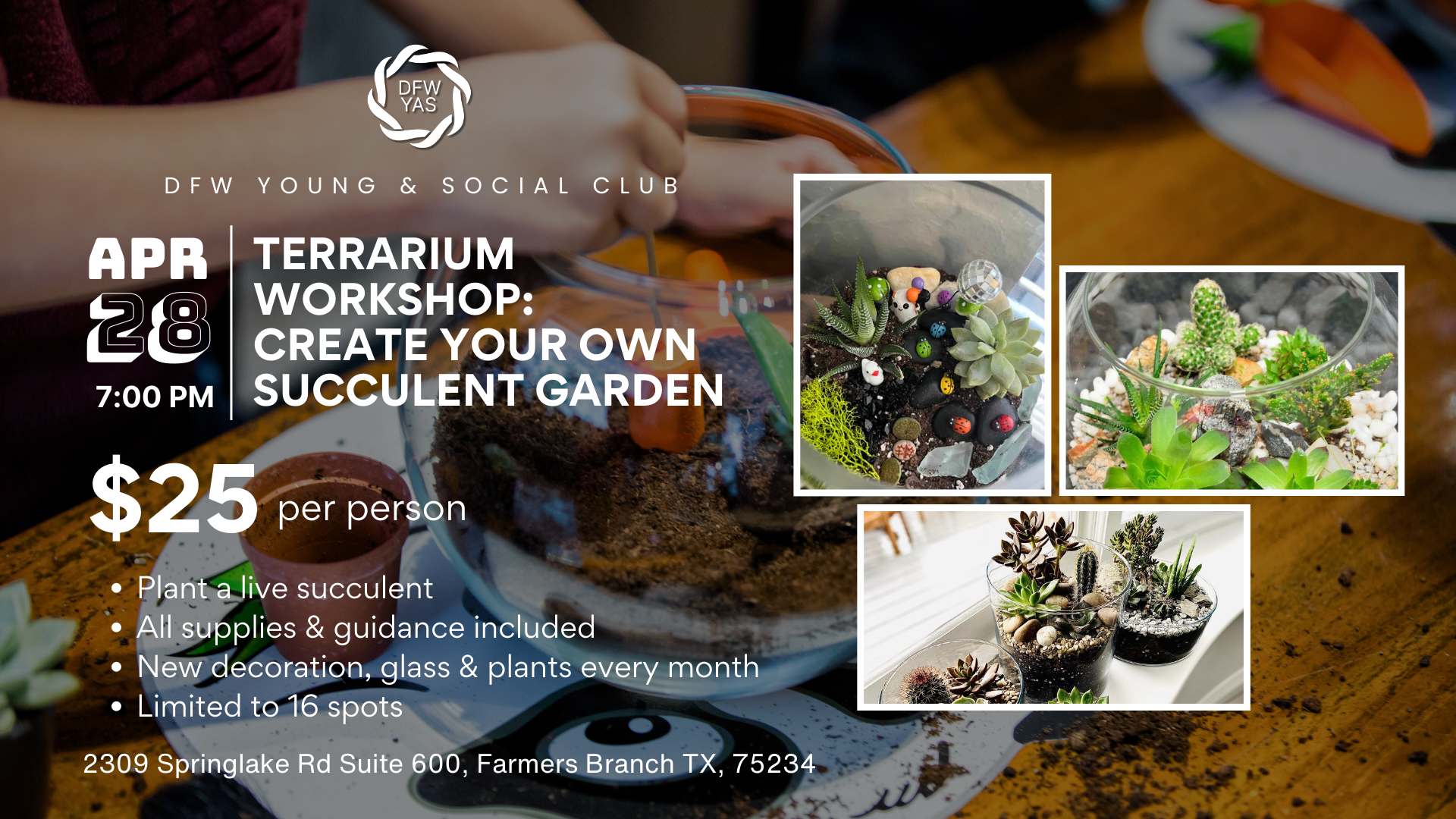 Terrarium Workshop: Create Your Own Mini Succulent Garden