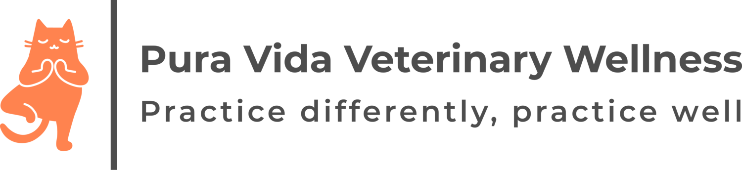 Pura Vida Veterinary Wellness Retreats