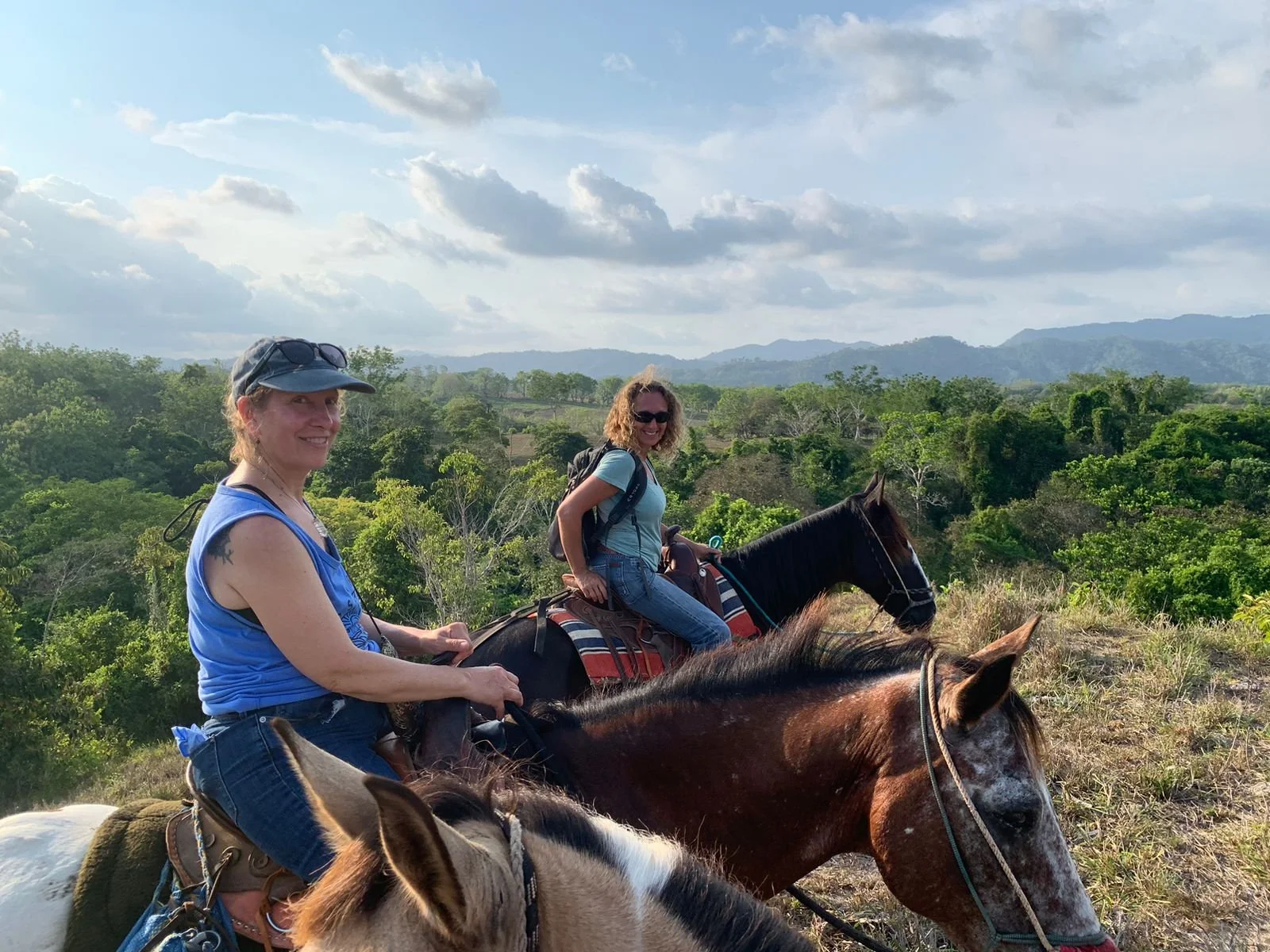 Pura Vida Veterinary Wellness