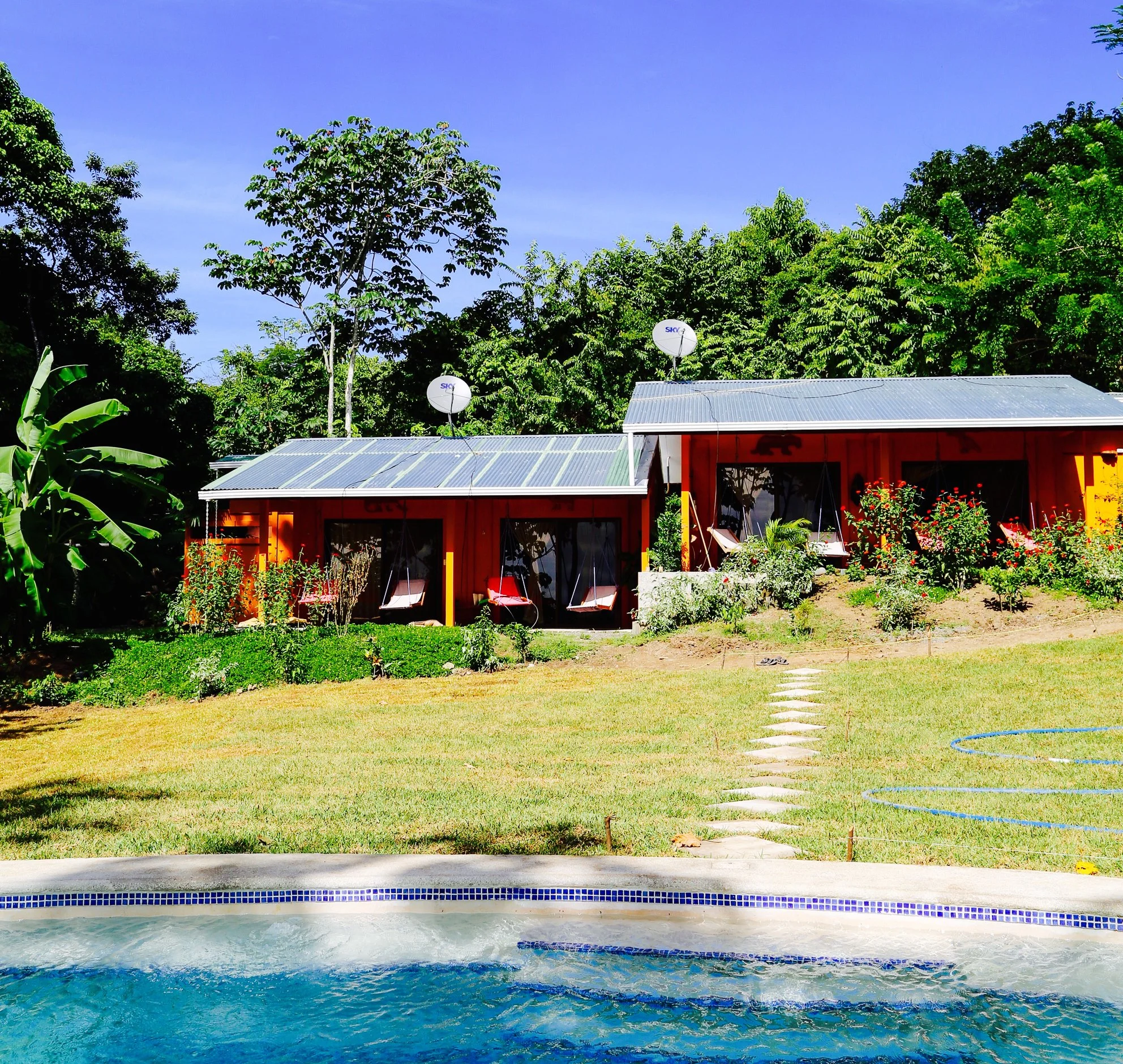 Pura Vida Veterinary Wellness