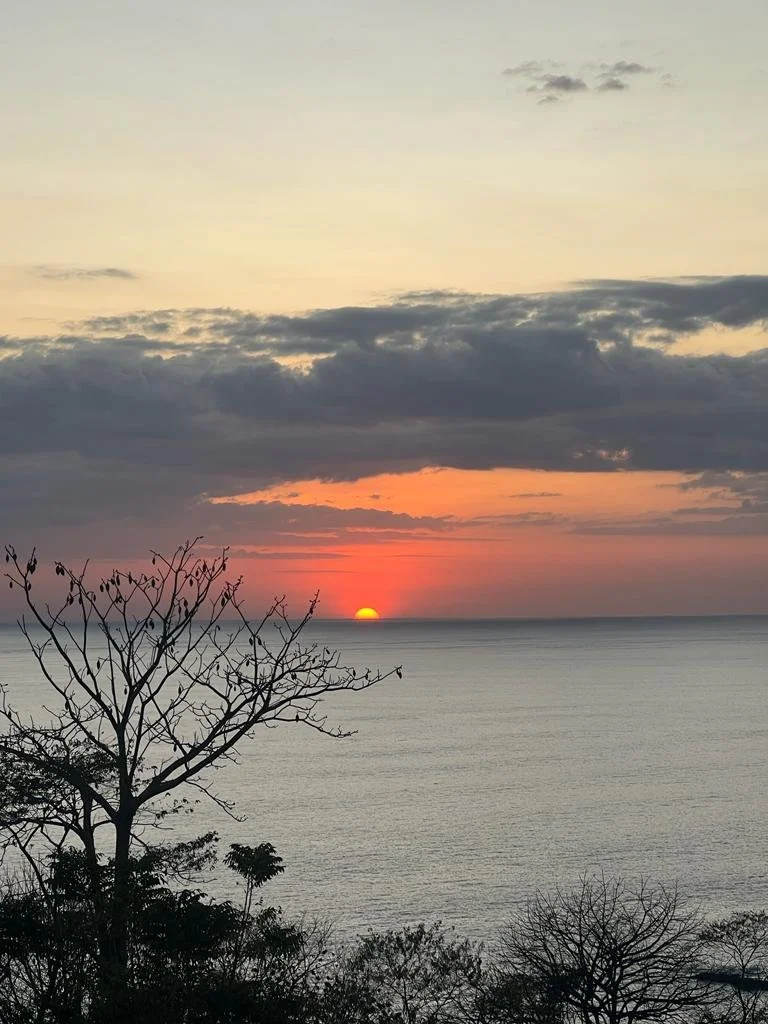 Pura Vida Veterinary Wellness