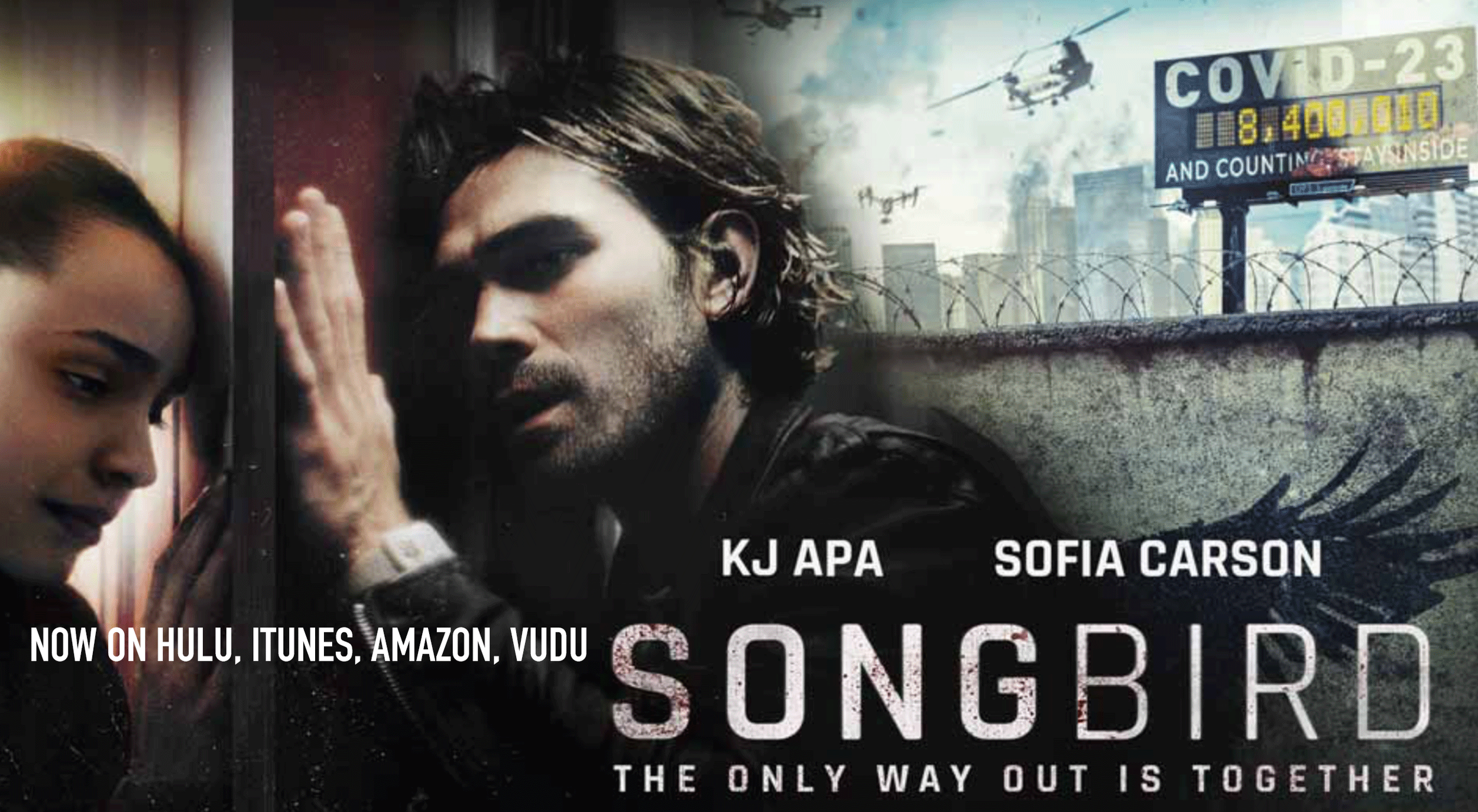 SONGBIRD_2.png