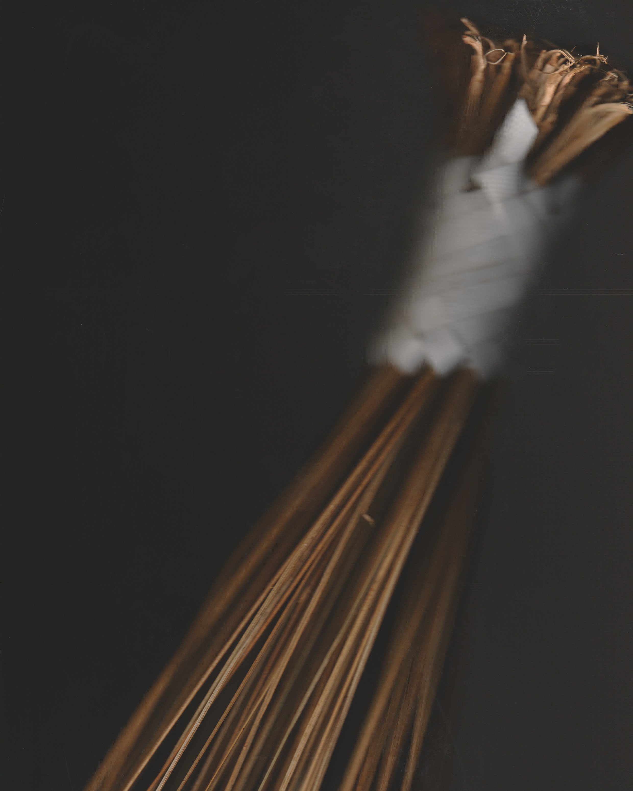 Nirvana_Seepersaud_Girmat_Broom.jpg