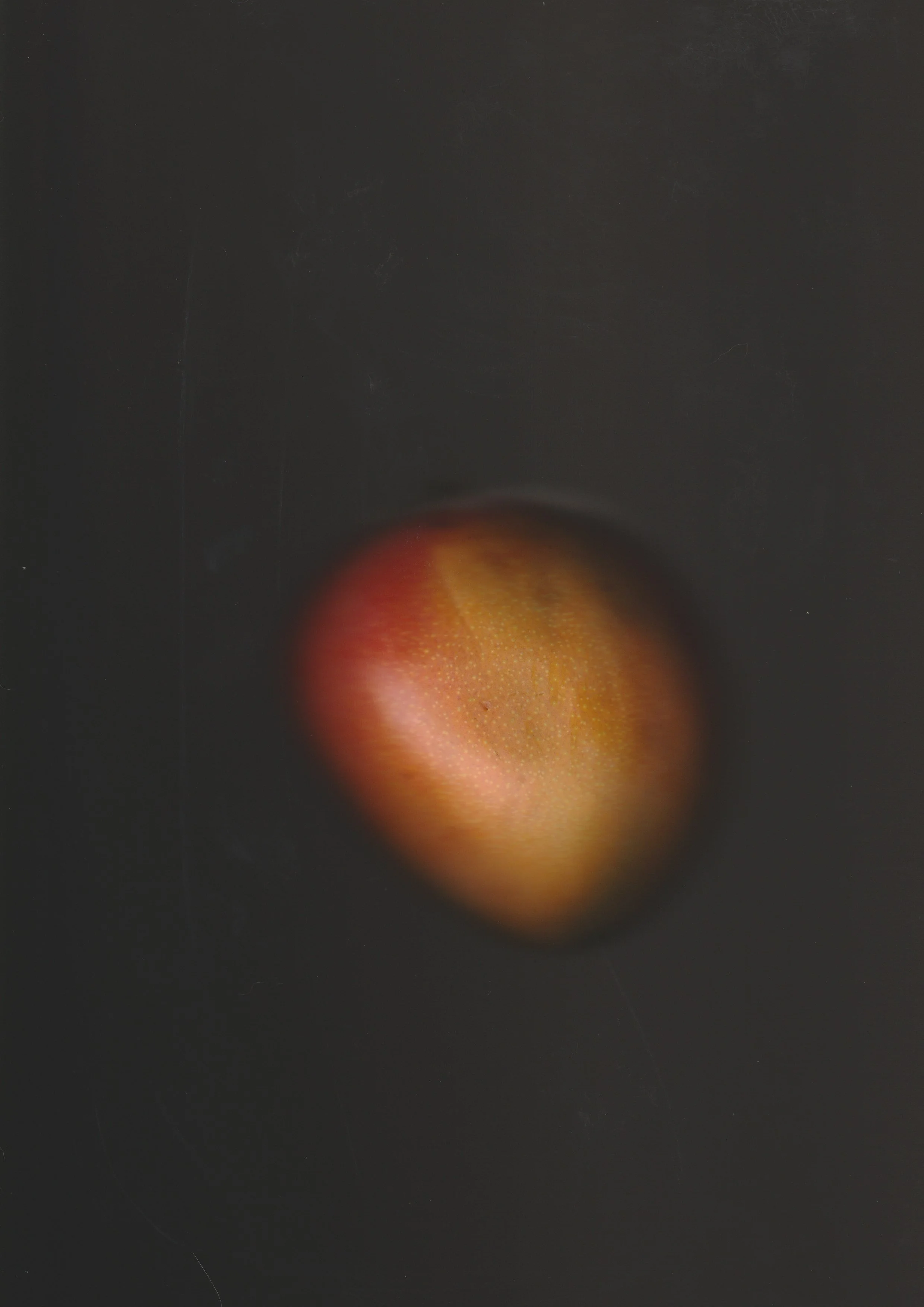 Scan 16.jpeg