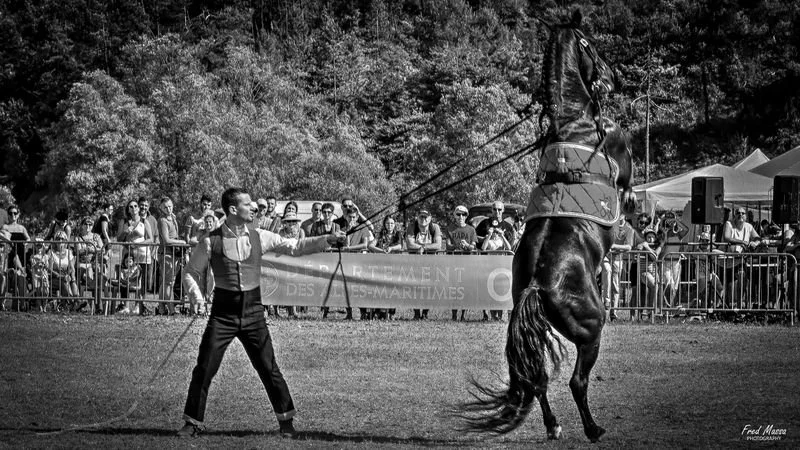  portrait 3  pour about-4-1.jpg